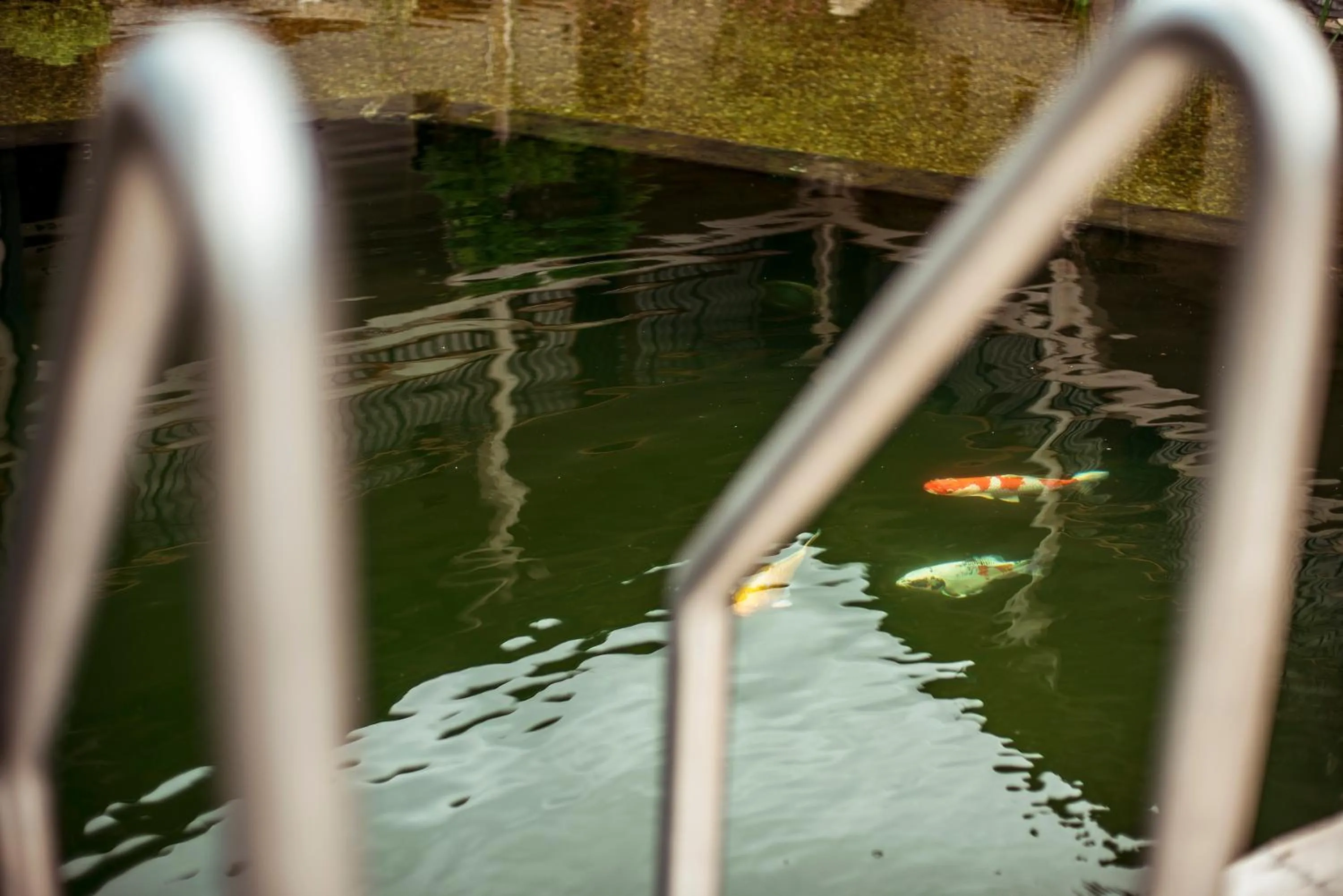 Day in Penzión & Wellness MERIDIANA Bojnice rezort