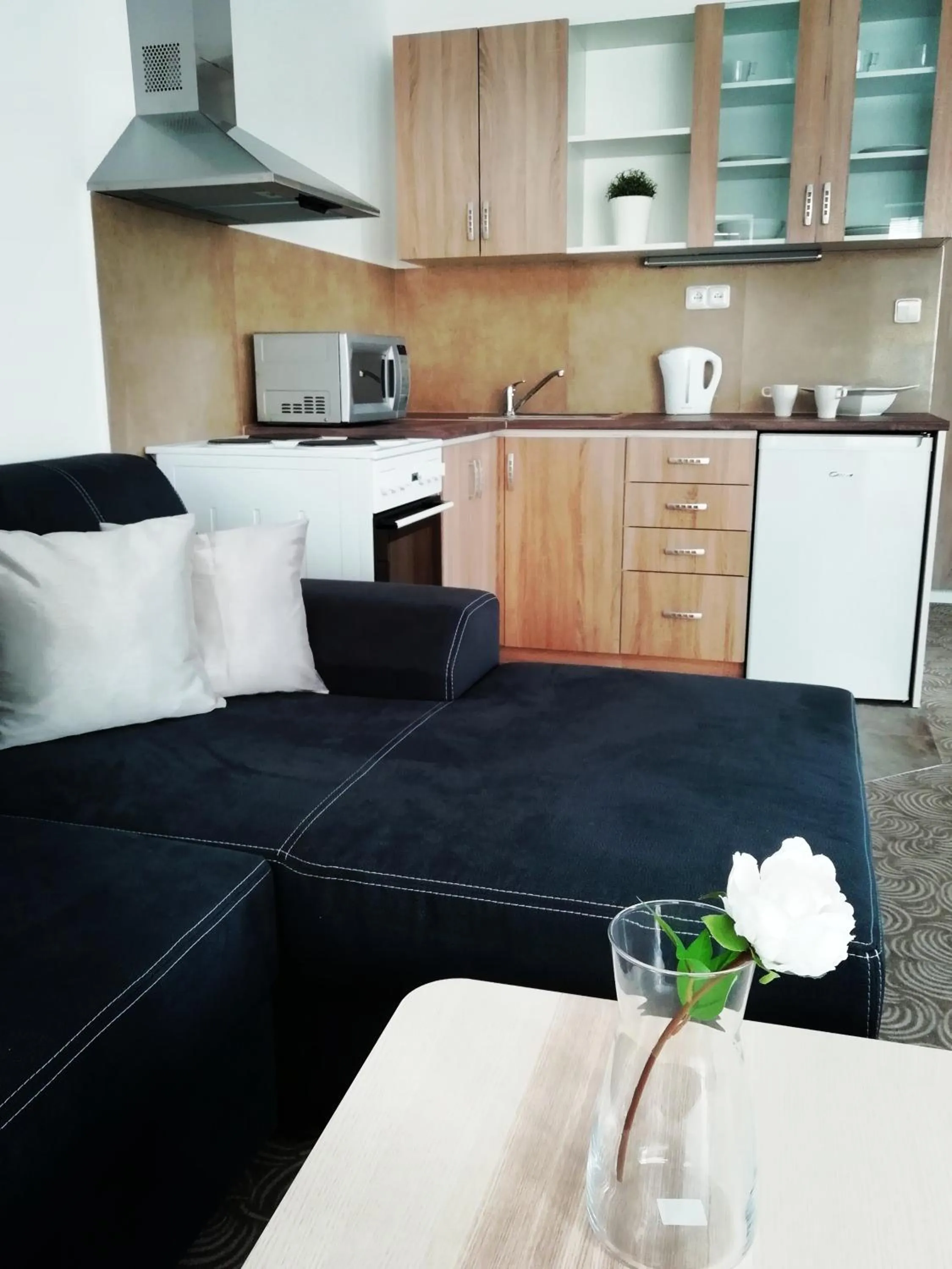 Apartmány U Stříbrných