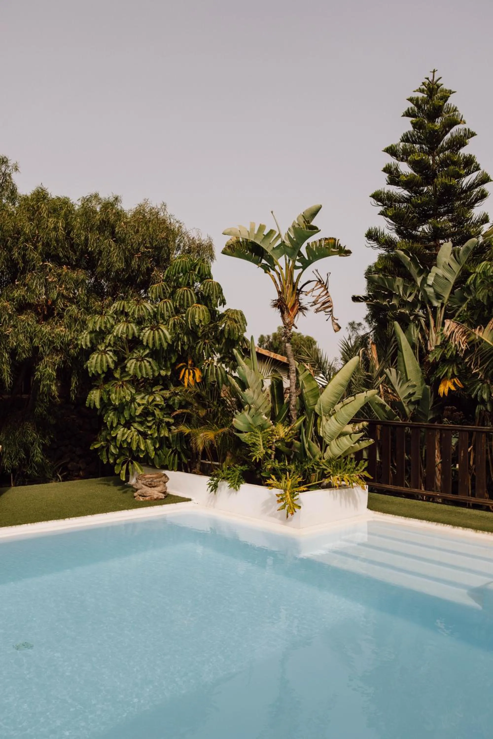 Garden in Surfescape Fuerteventura