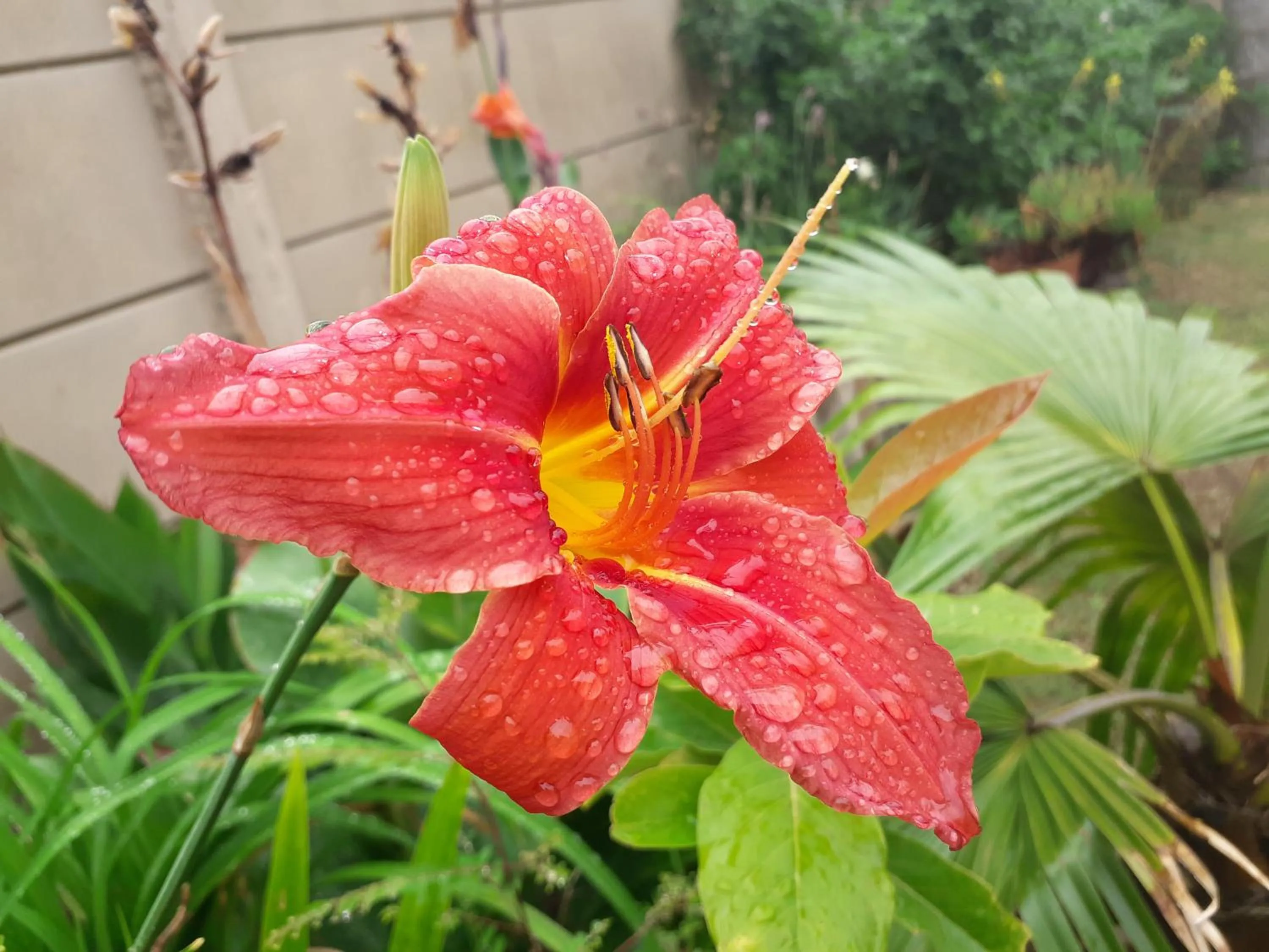 Garden in Field's Rest