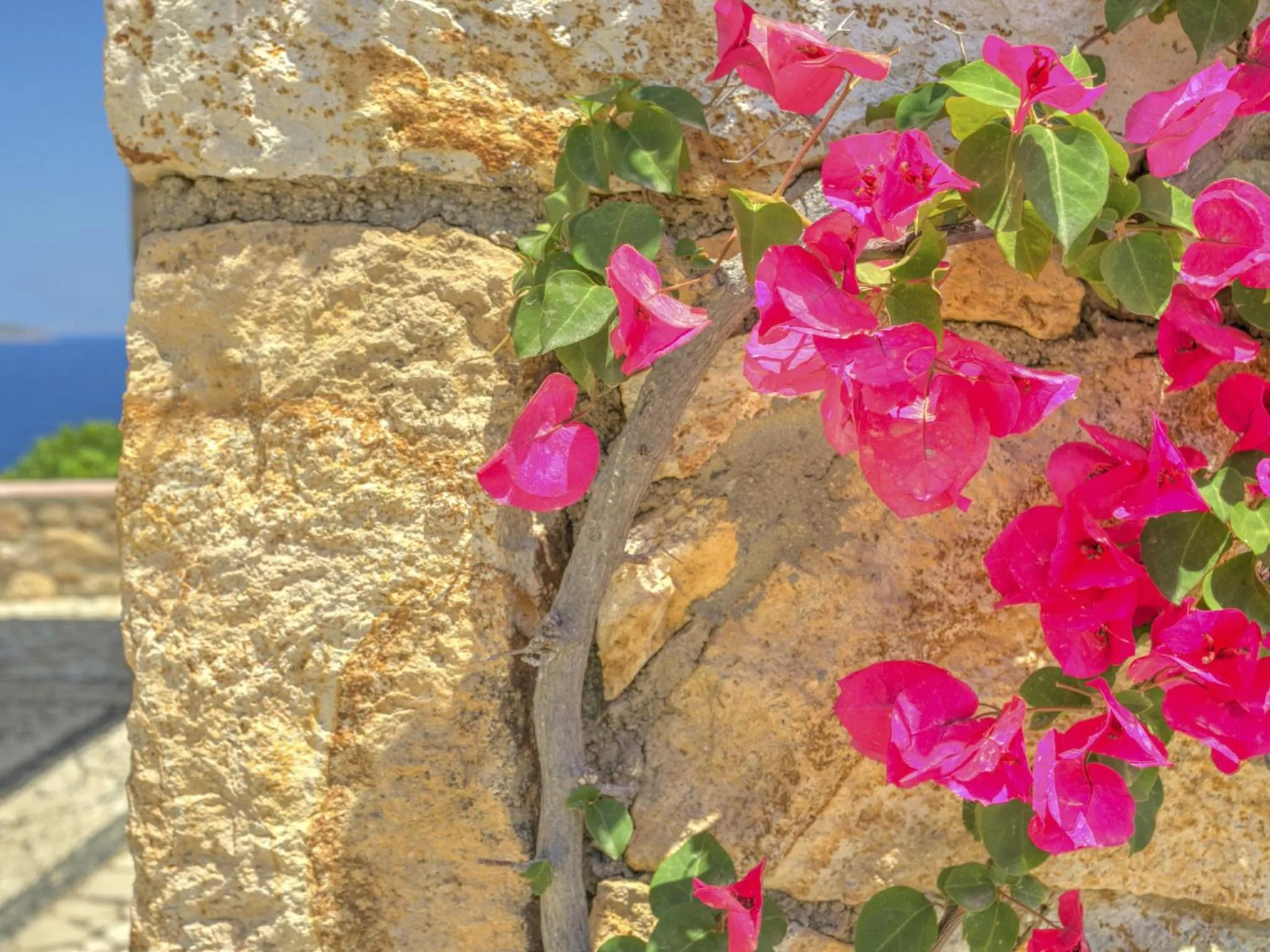 Spring in Eirini Luxury Hotel Villas