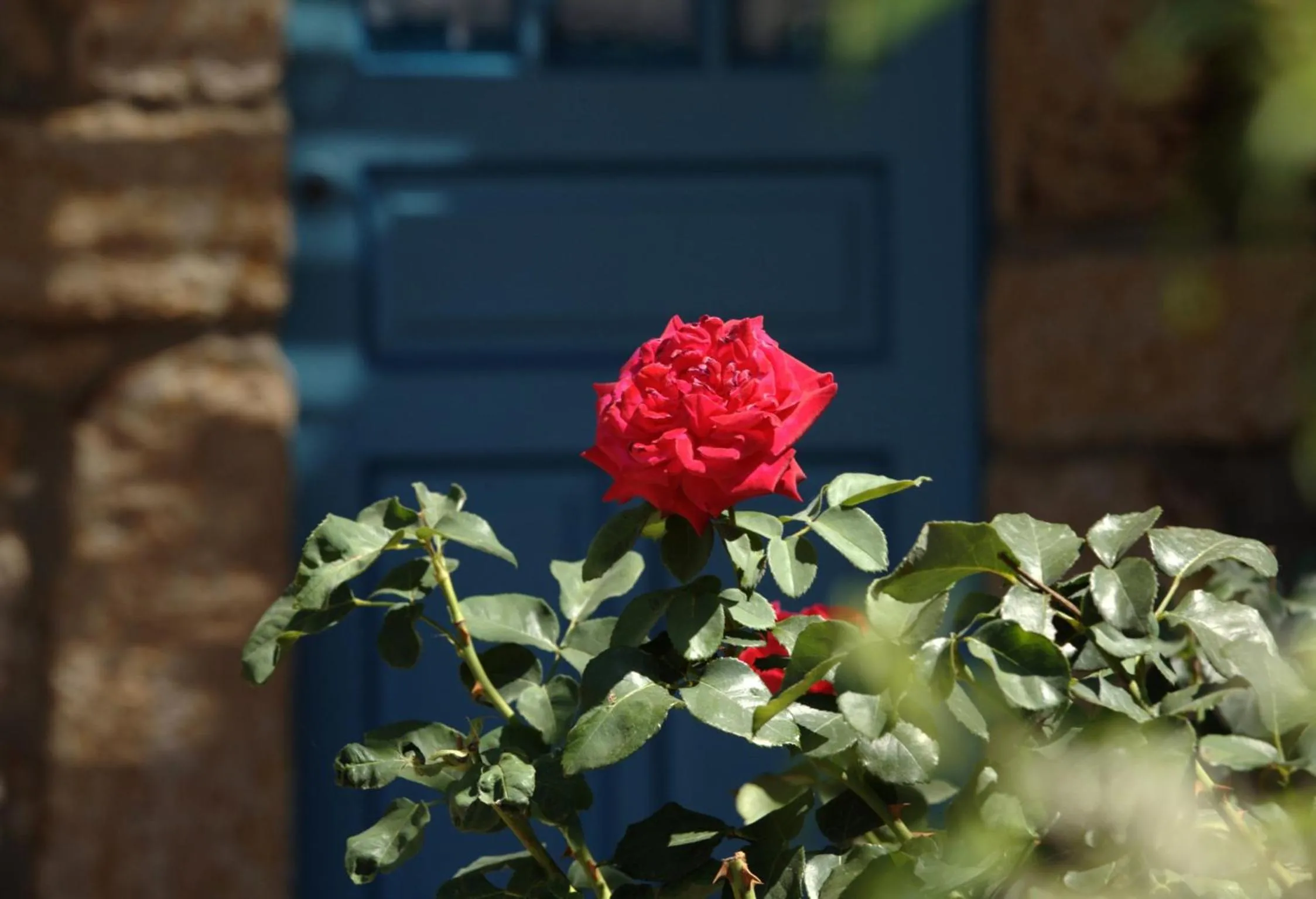 Spring in Eirini Luxury Hotel Villas