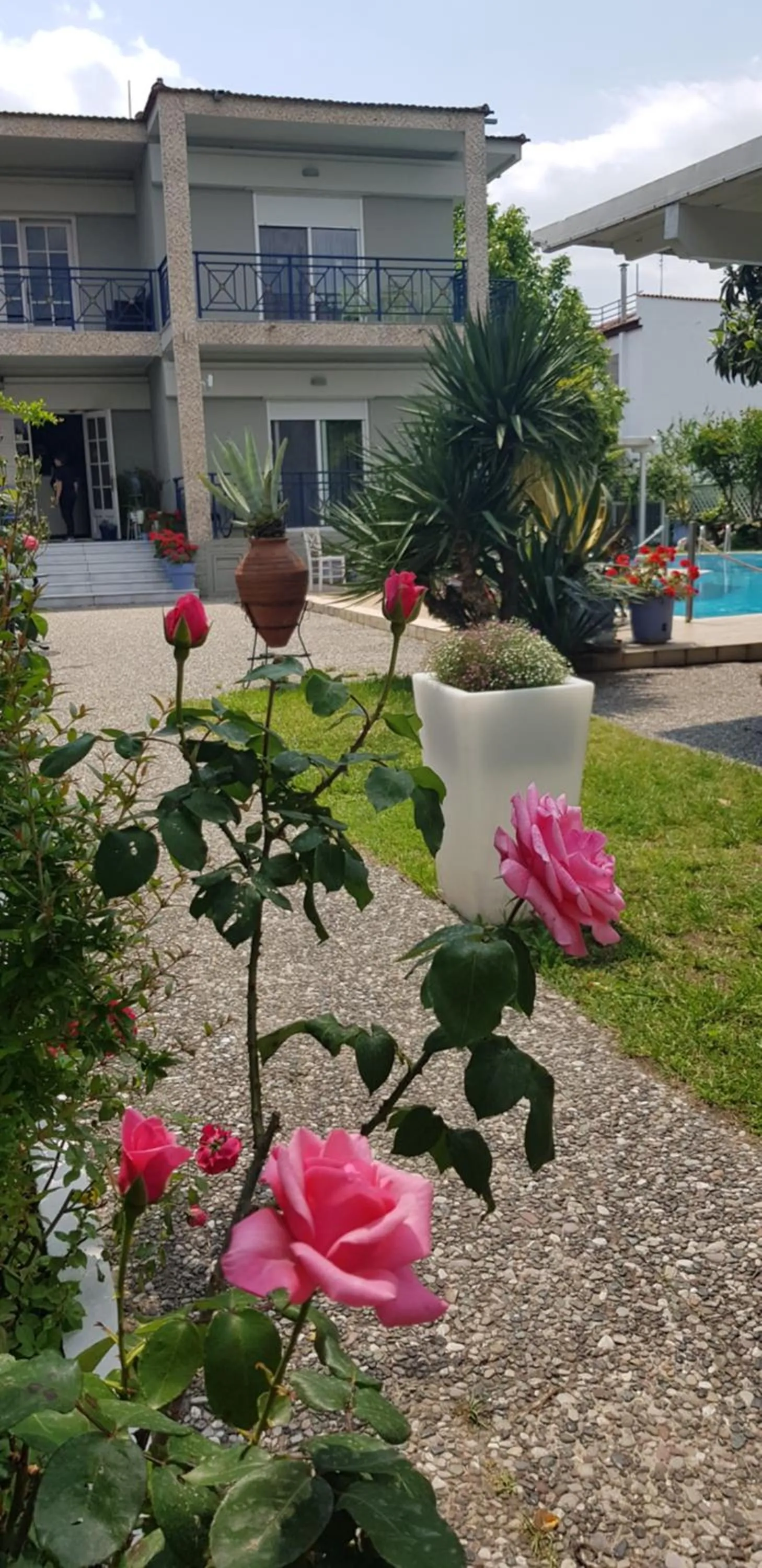 Garden in Hotel George