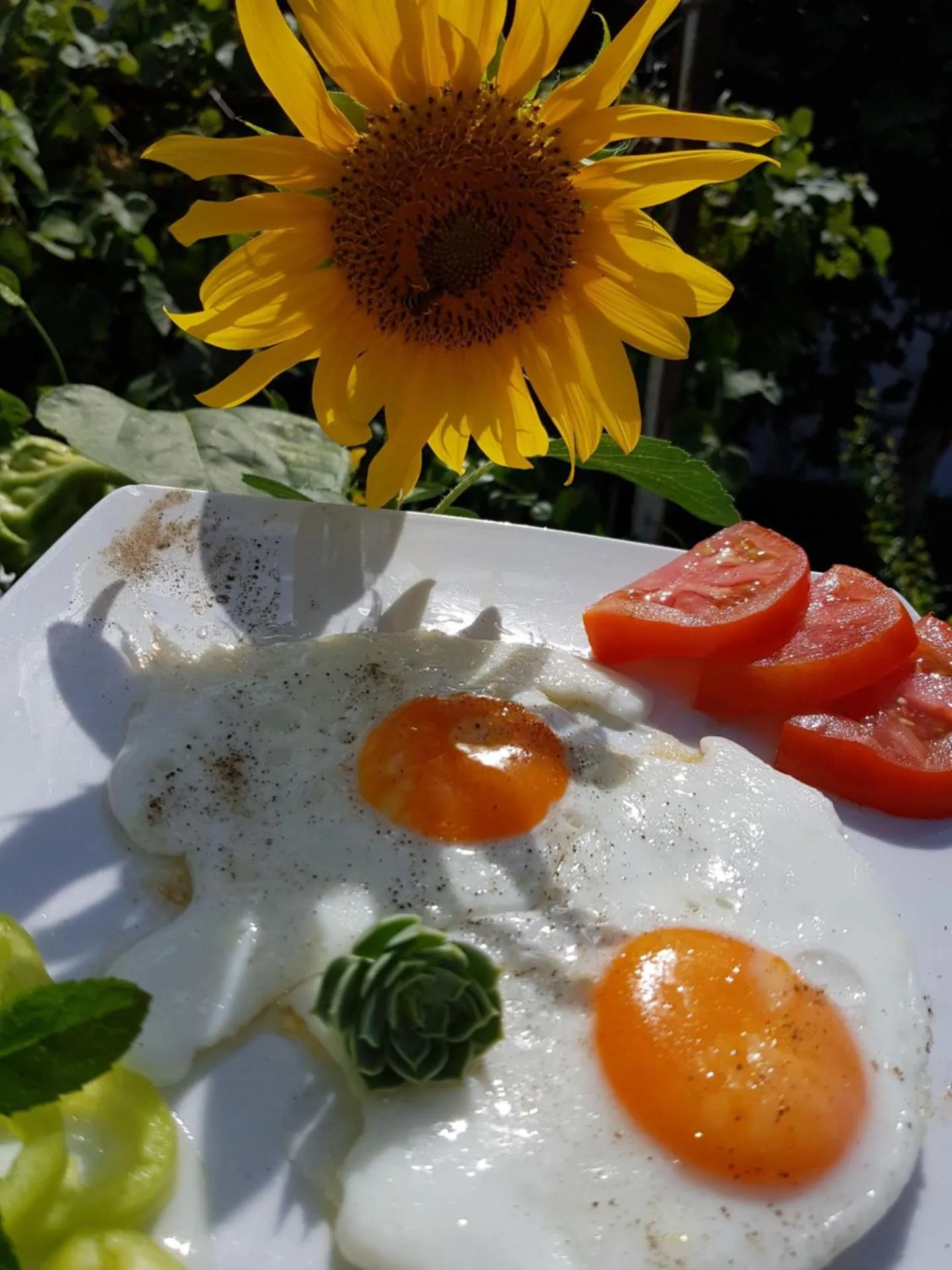 Breakfast in Hotel George