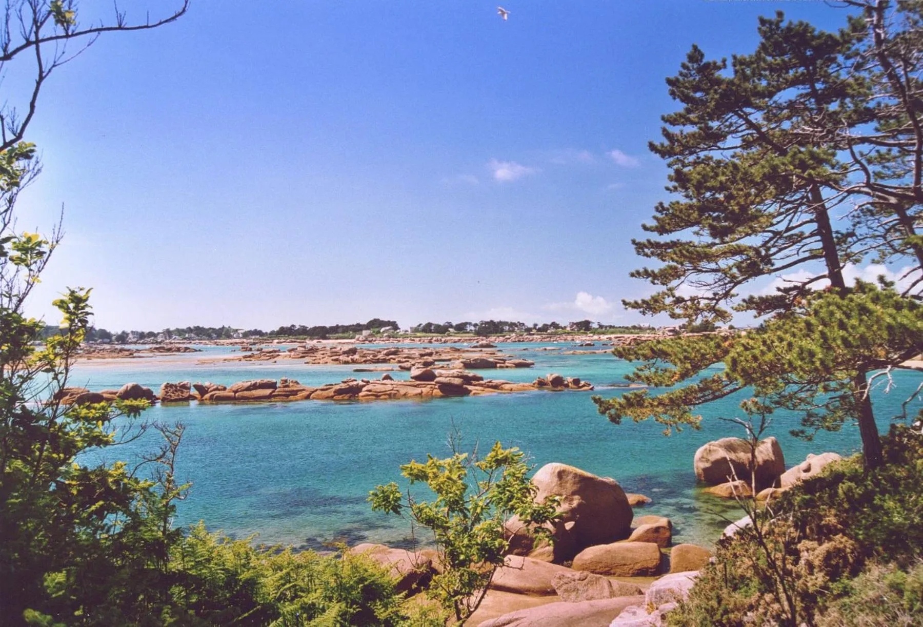 Natural landscape in Hôtel Restaurant La Maison