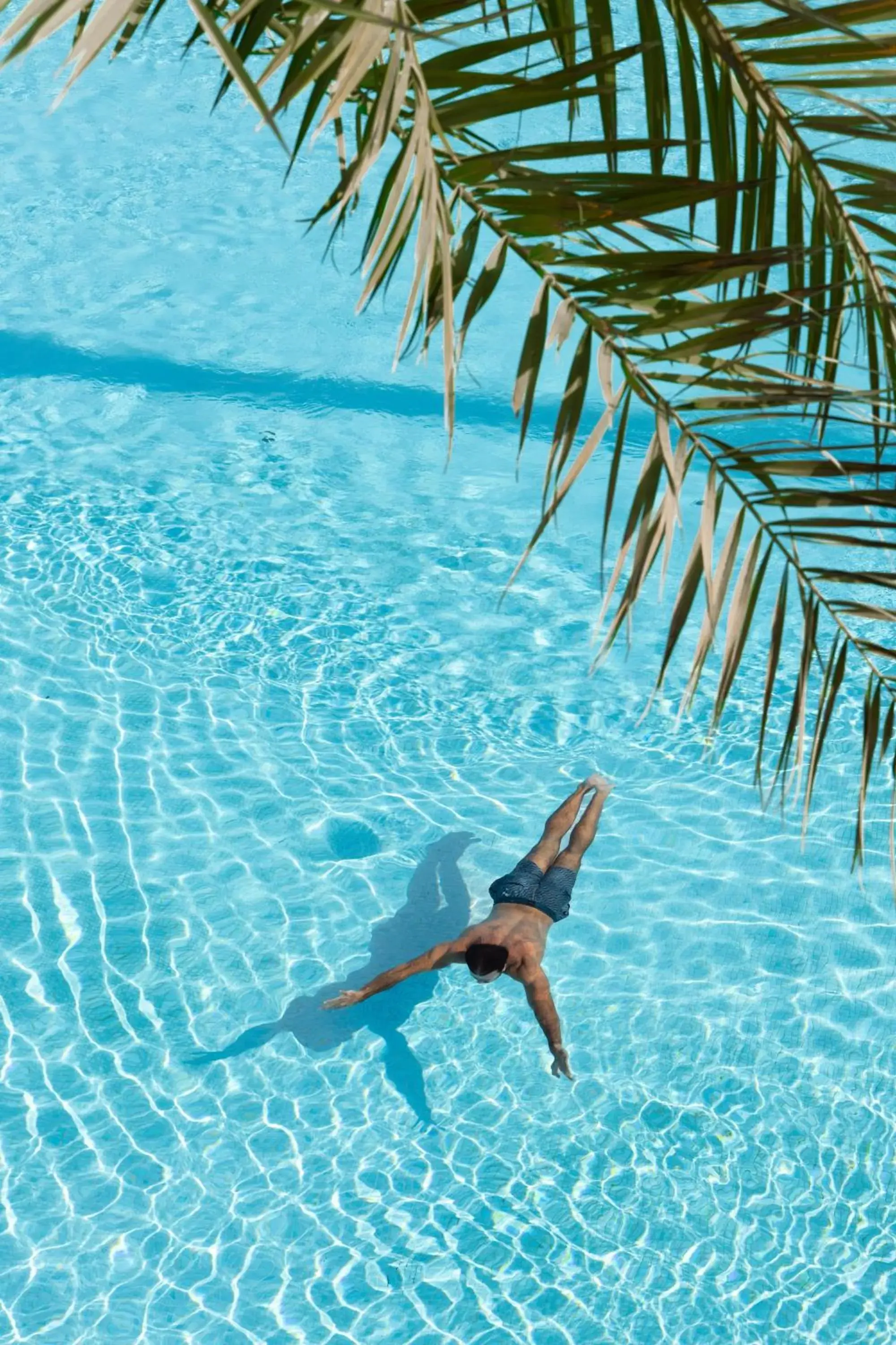Swimming pool in Raffles The Palm Swimming pool in Raffles The Palm