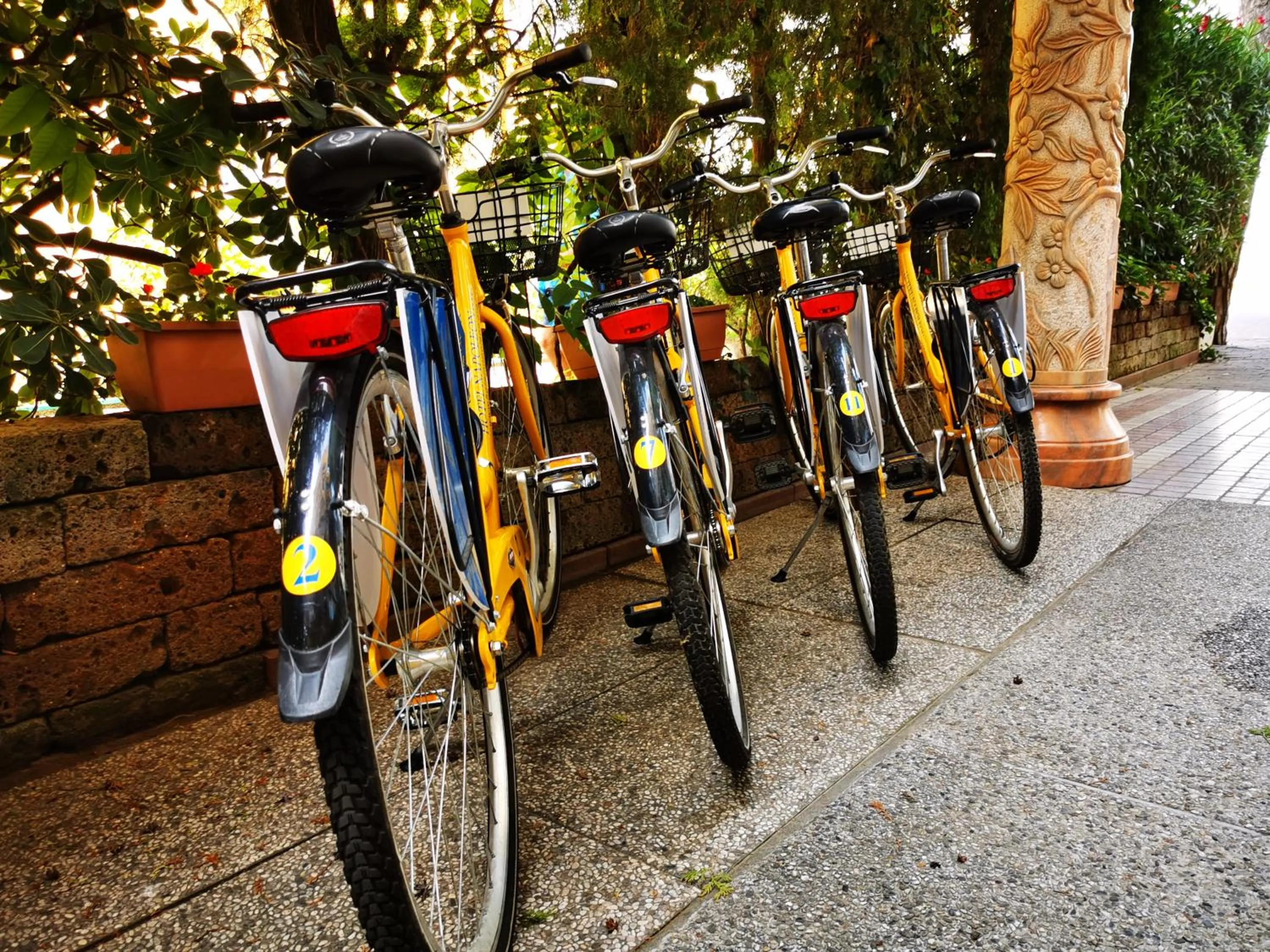 Cycling in Hotel Napoleon