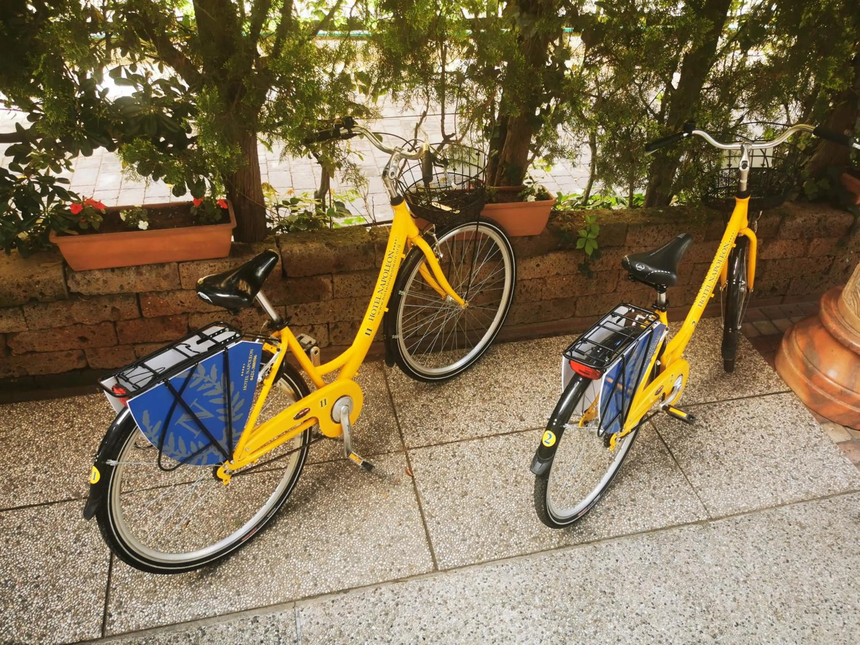 Cycling in Hotel Napoleon