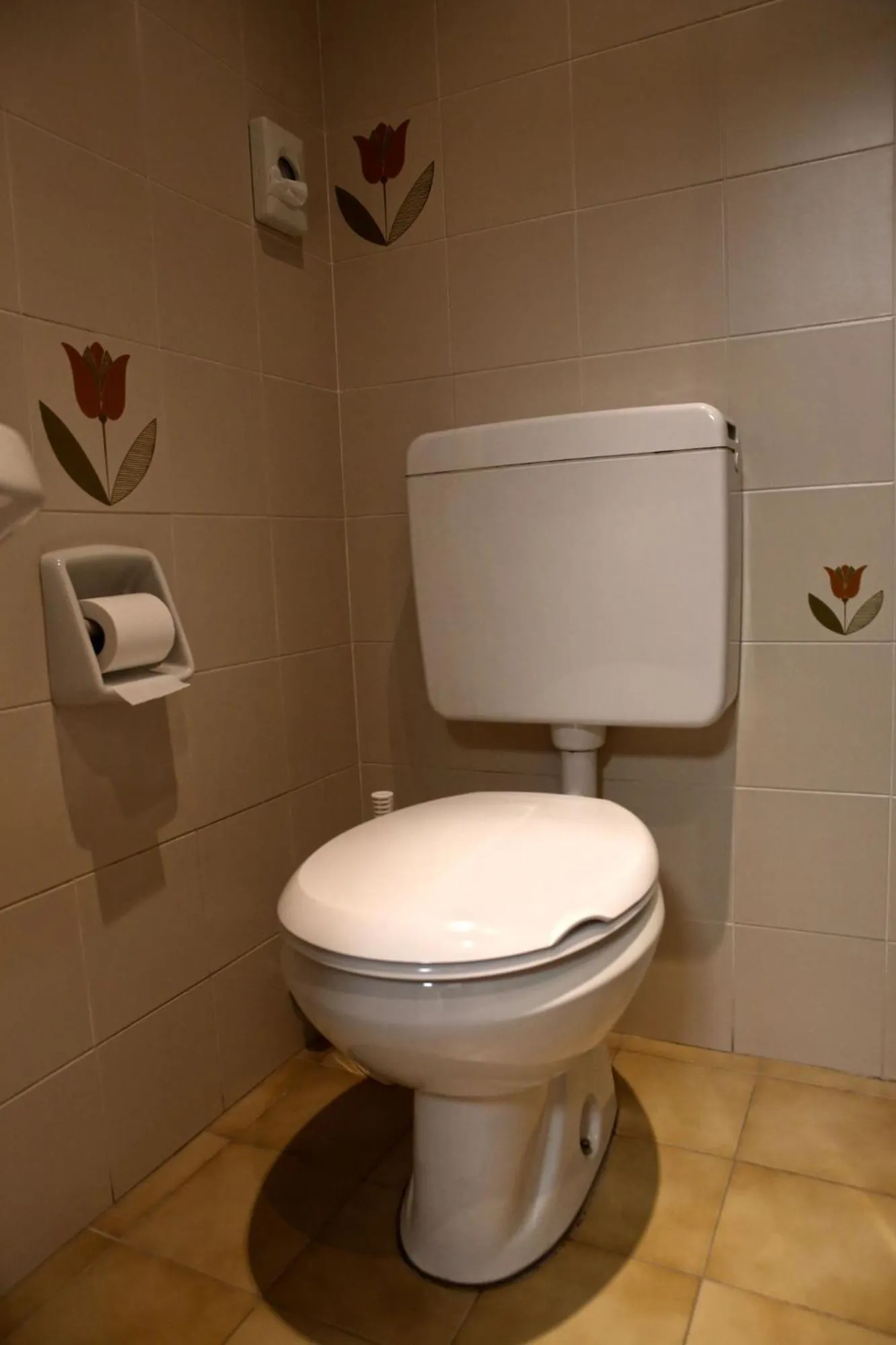 Toilet in Albergo Gusmeroli