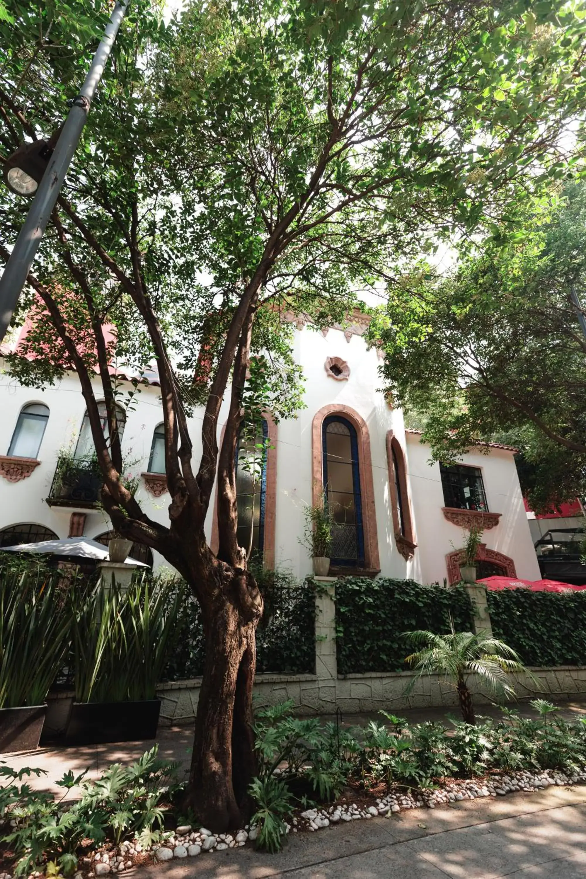 Property building in Orchid House Mexico City Property building in Orchid House Mexico City