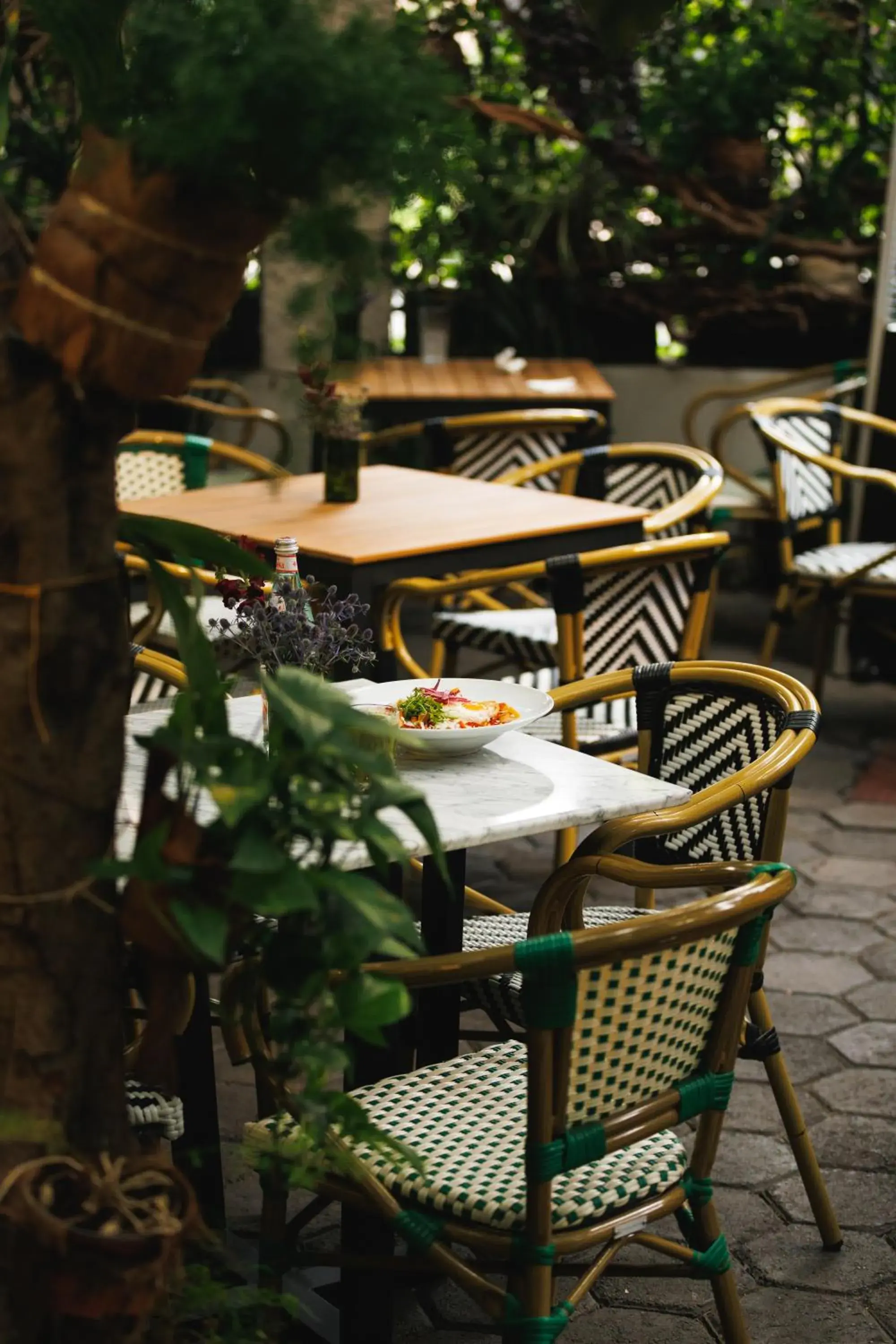 Restaurant/places to eat in Orchid House Mexico City Restaurant/places to eat in Orchid House Mexico City