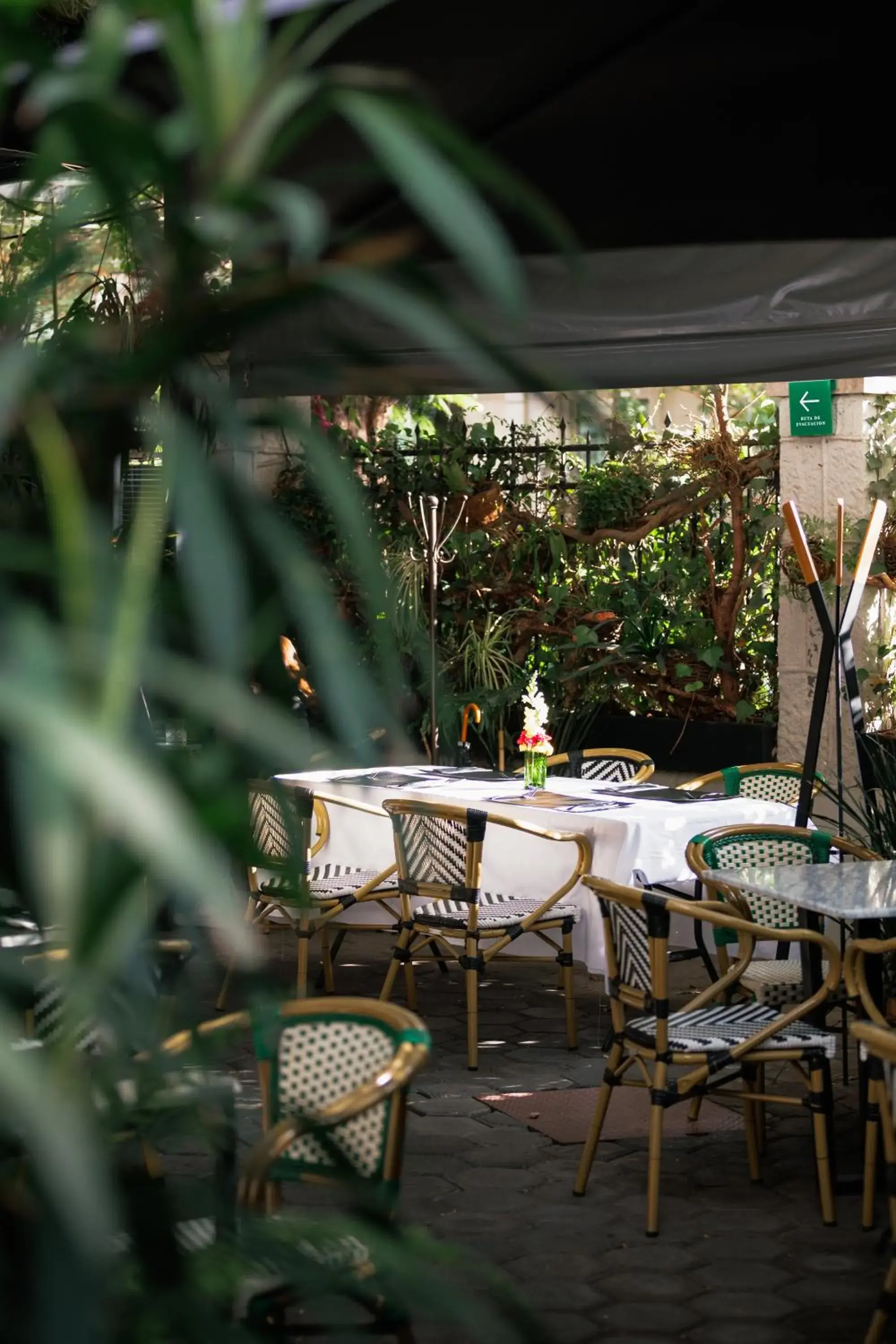 Restaurant/places to eat in Orchid House Mexico City Restaurant/places to eat in Orchid House Mexico City