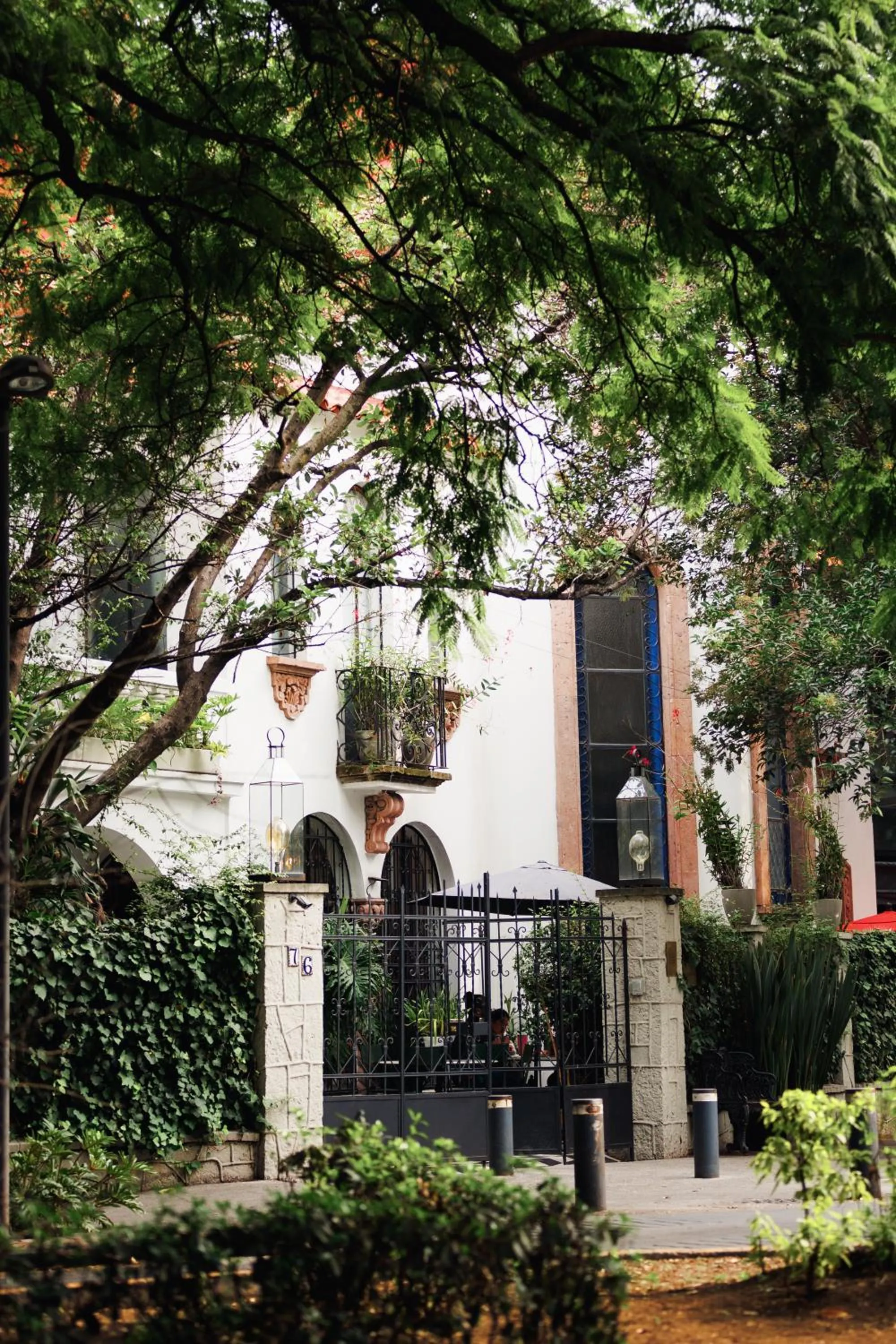 Property building in Orchid House Mexico City