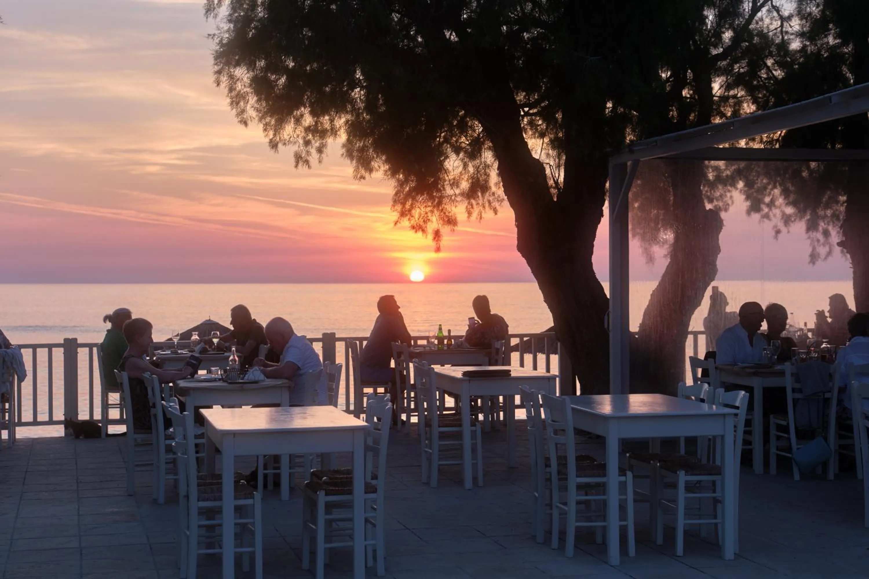 Restaurant/places to eat in Aphrodite Hotel