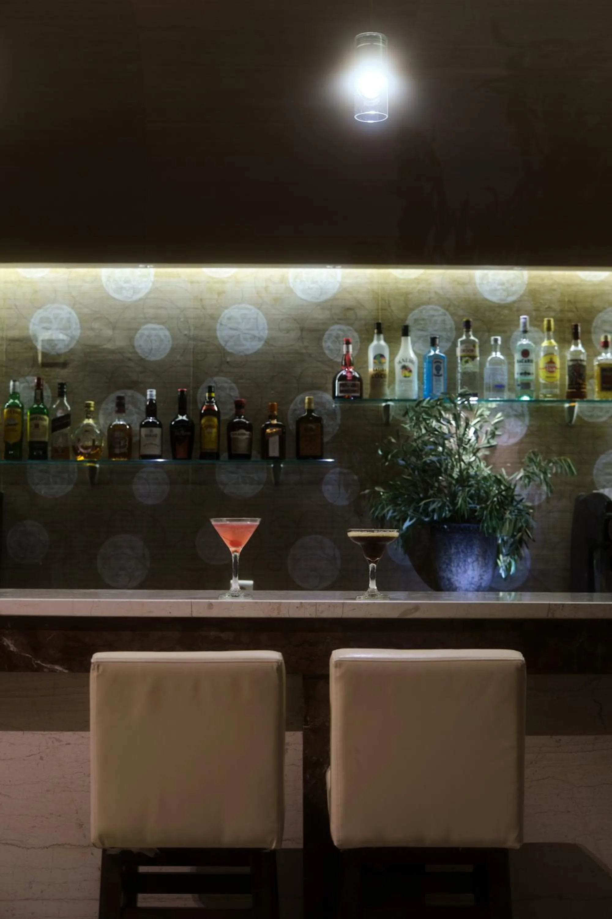 Lounge or bar in Aphrodite Hotel