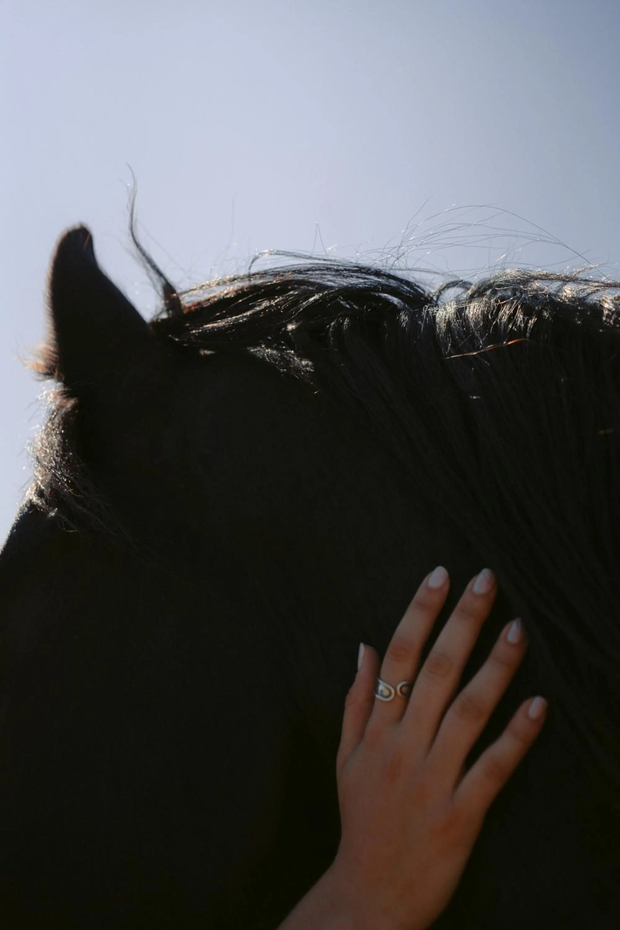 Entertainment in Black Rose Beach Suites