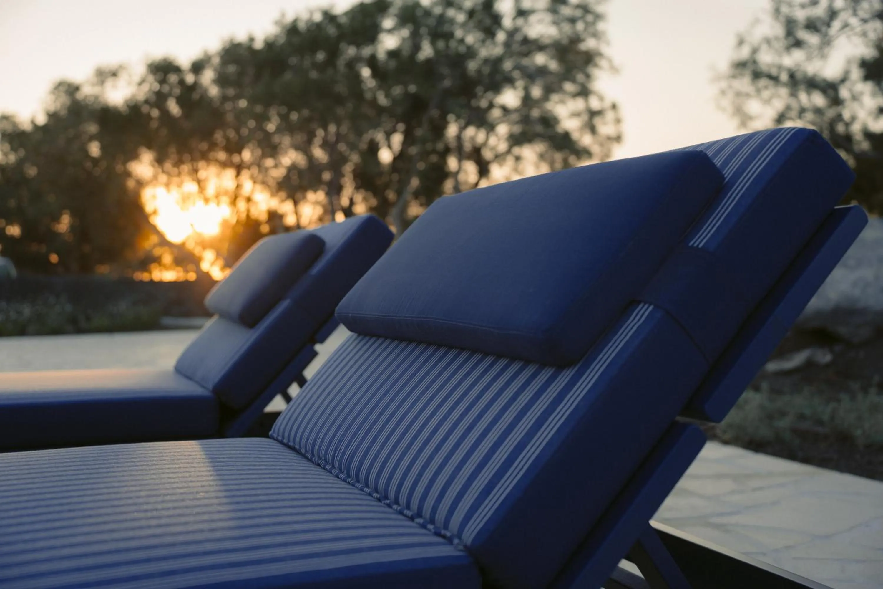 sunbed in Black Rose Beach Suites