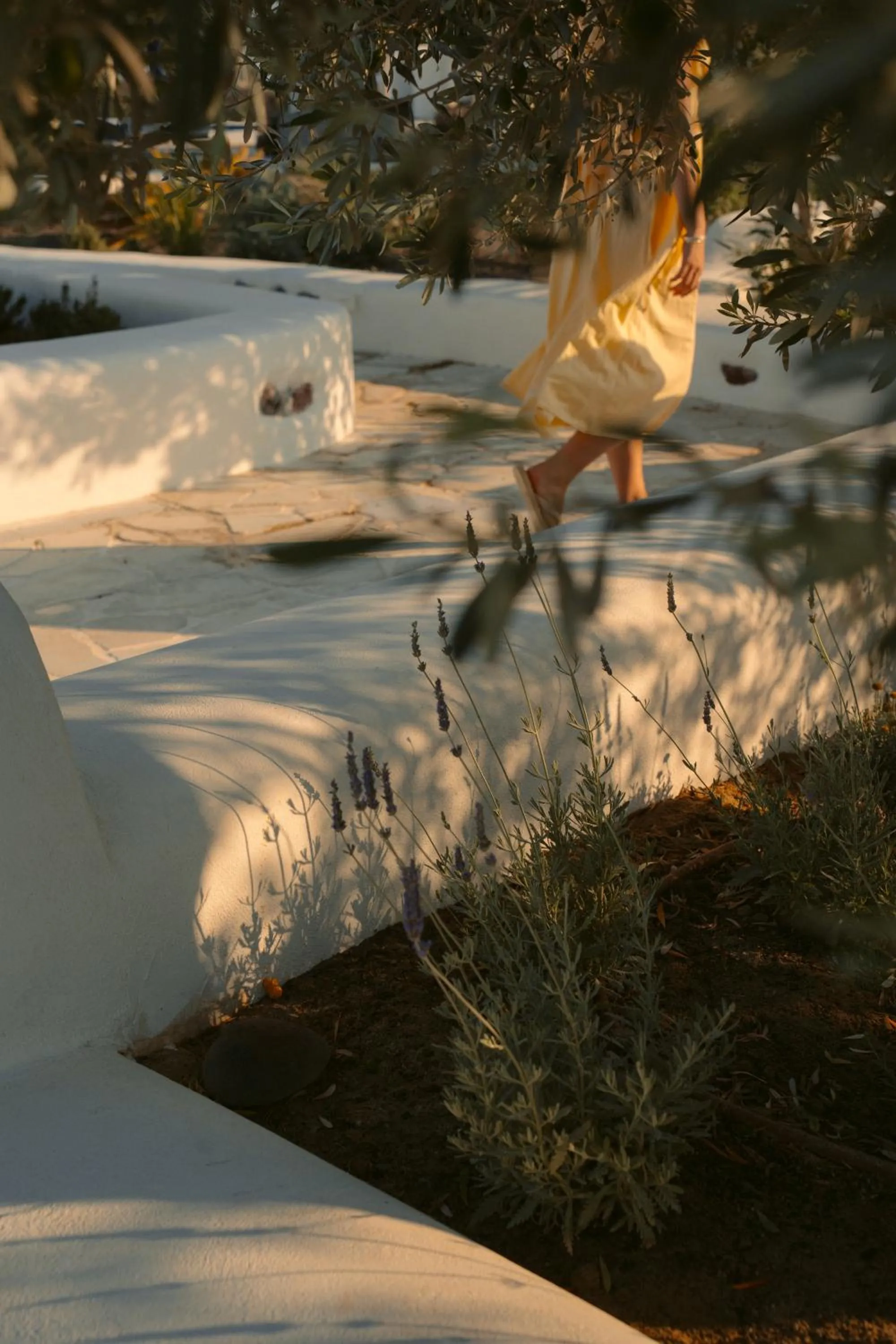 Garden in Black Rose Beach Suites