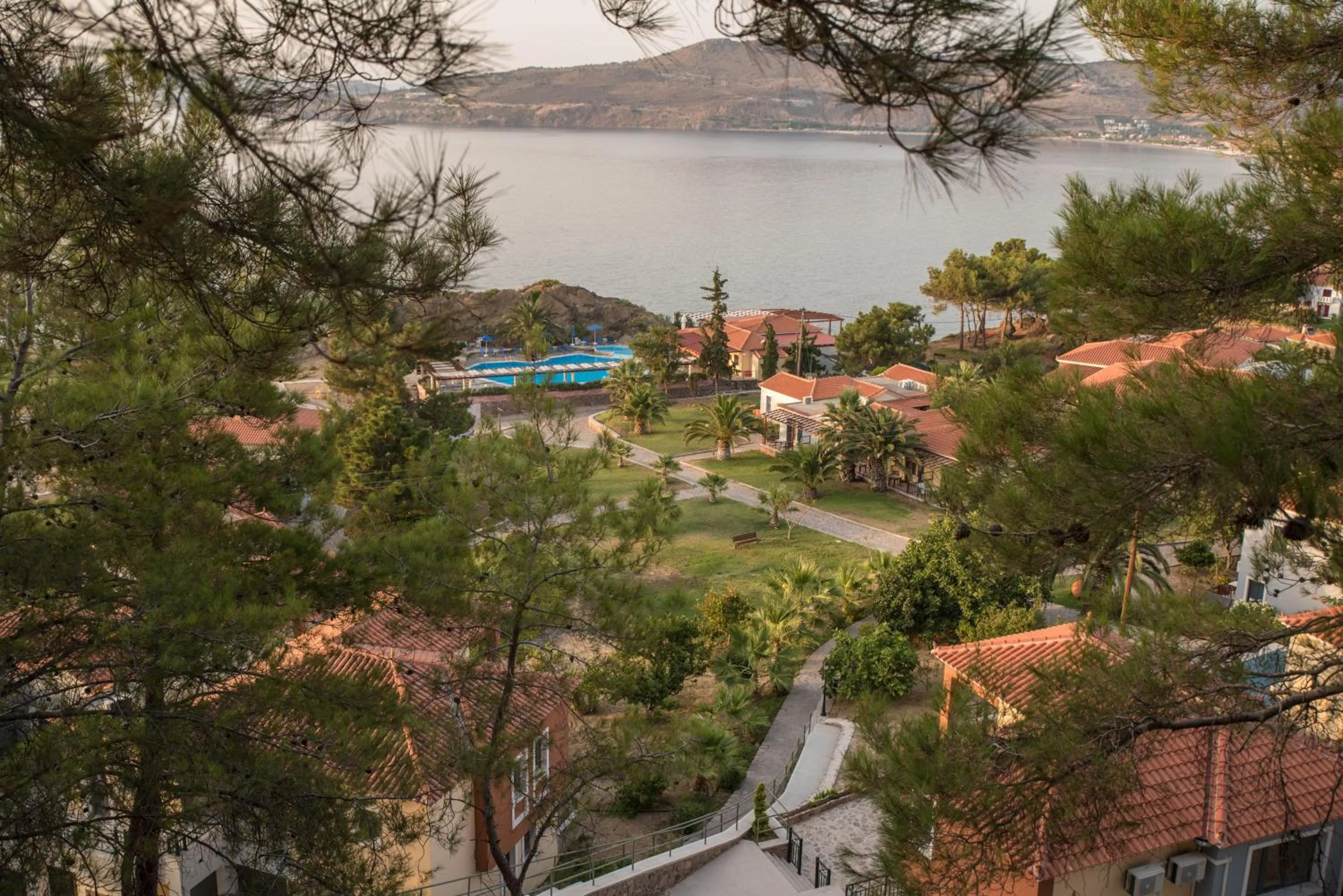 Bird's eye view in Alma Hotel