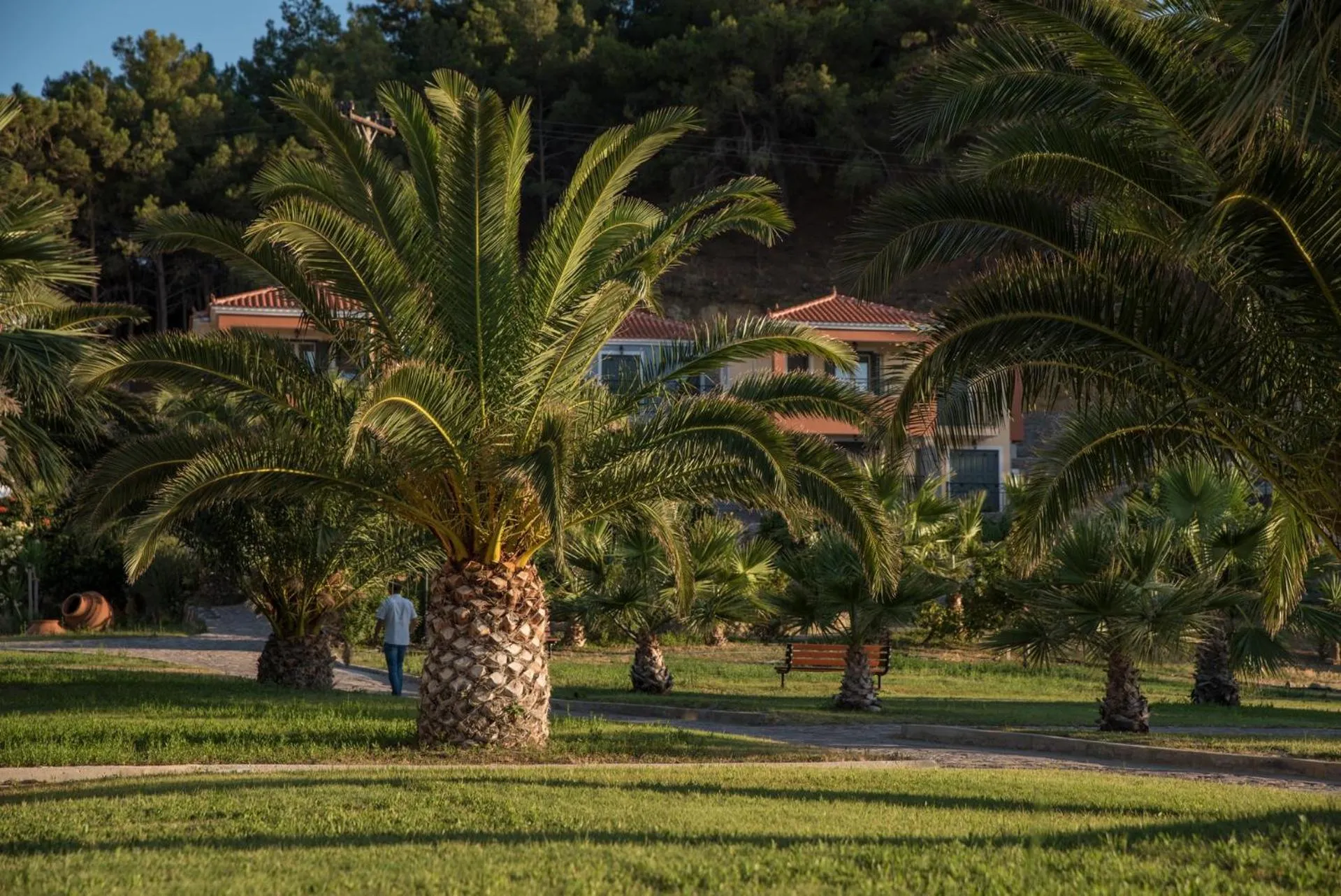 Garden in Alma Hotel