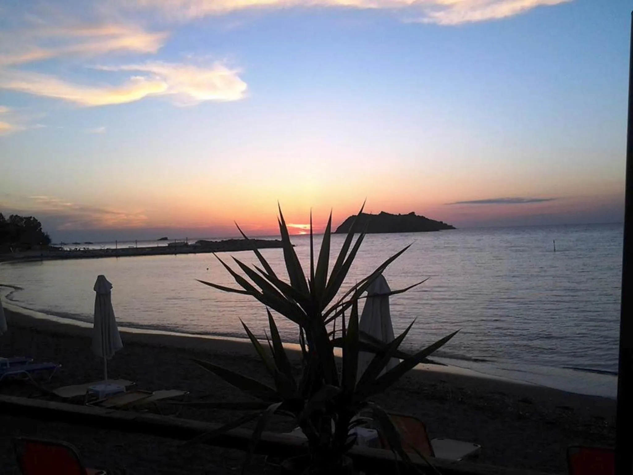 Beach in Alma Hotel