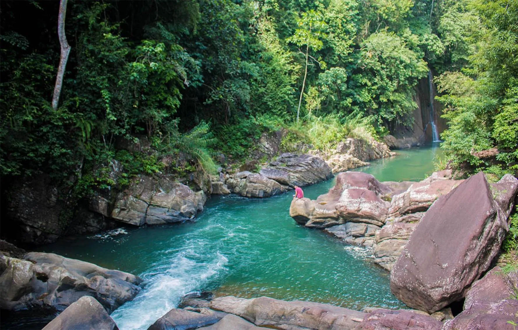 Swimming pool in Tree Houses by Jungle River