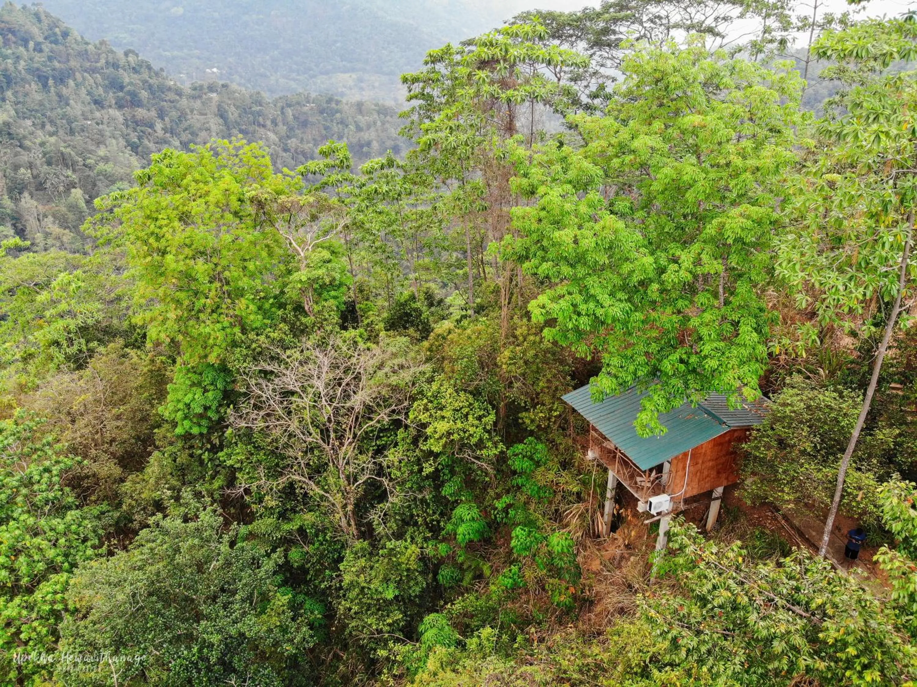 Bird's eye view in Tree Houses by Jungle River