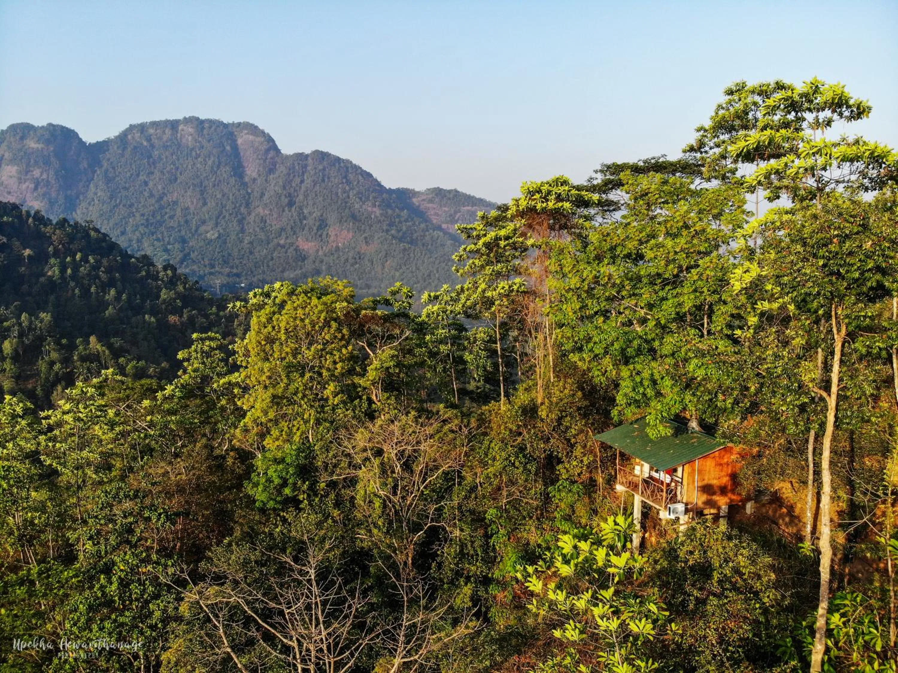 Natural landscape in Tree Houses by Jungle River