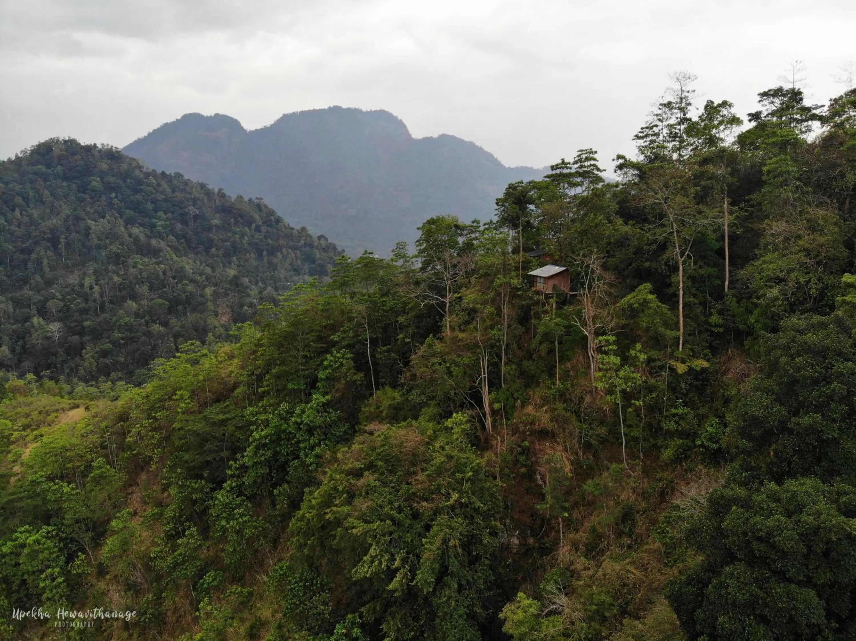 Bird's eye view in Tree Houses by Jungle River