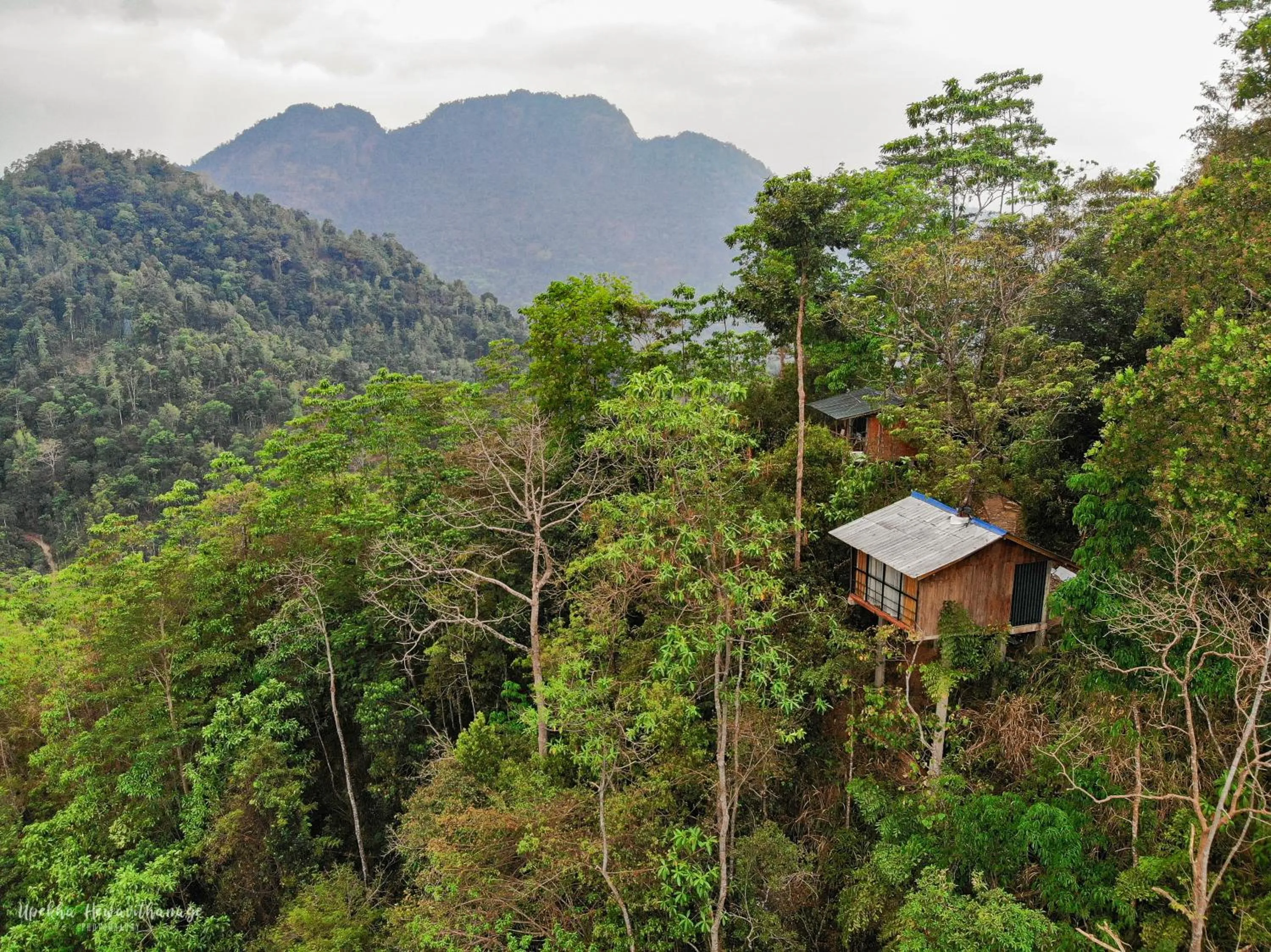 Bird's eye view in Tree Houses by Jungle River
