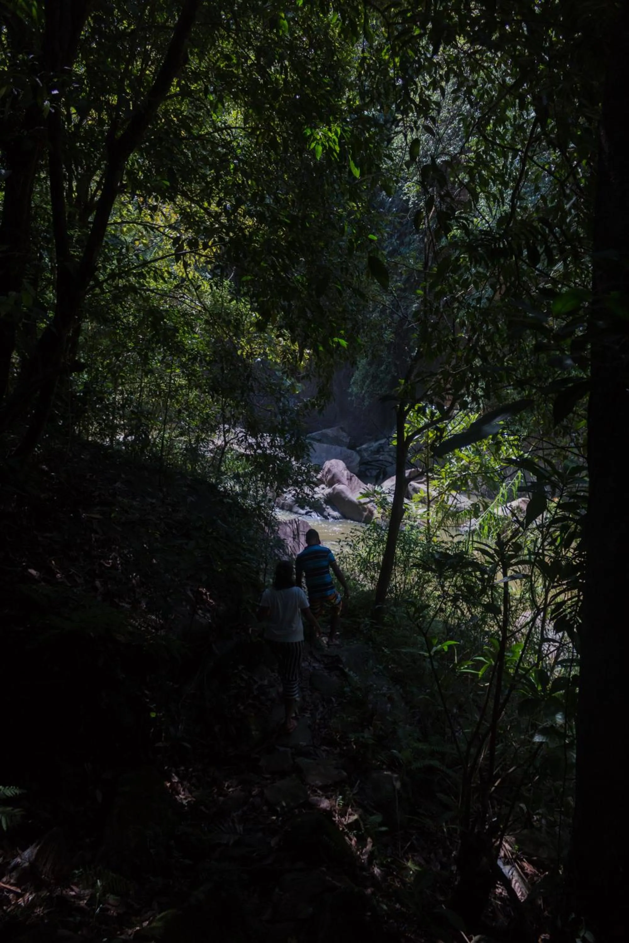 Tree Houses by Jungle River