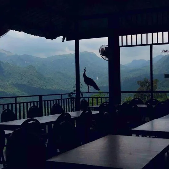 Restaurant/places to eat in Tree Houses by Jungle River