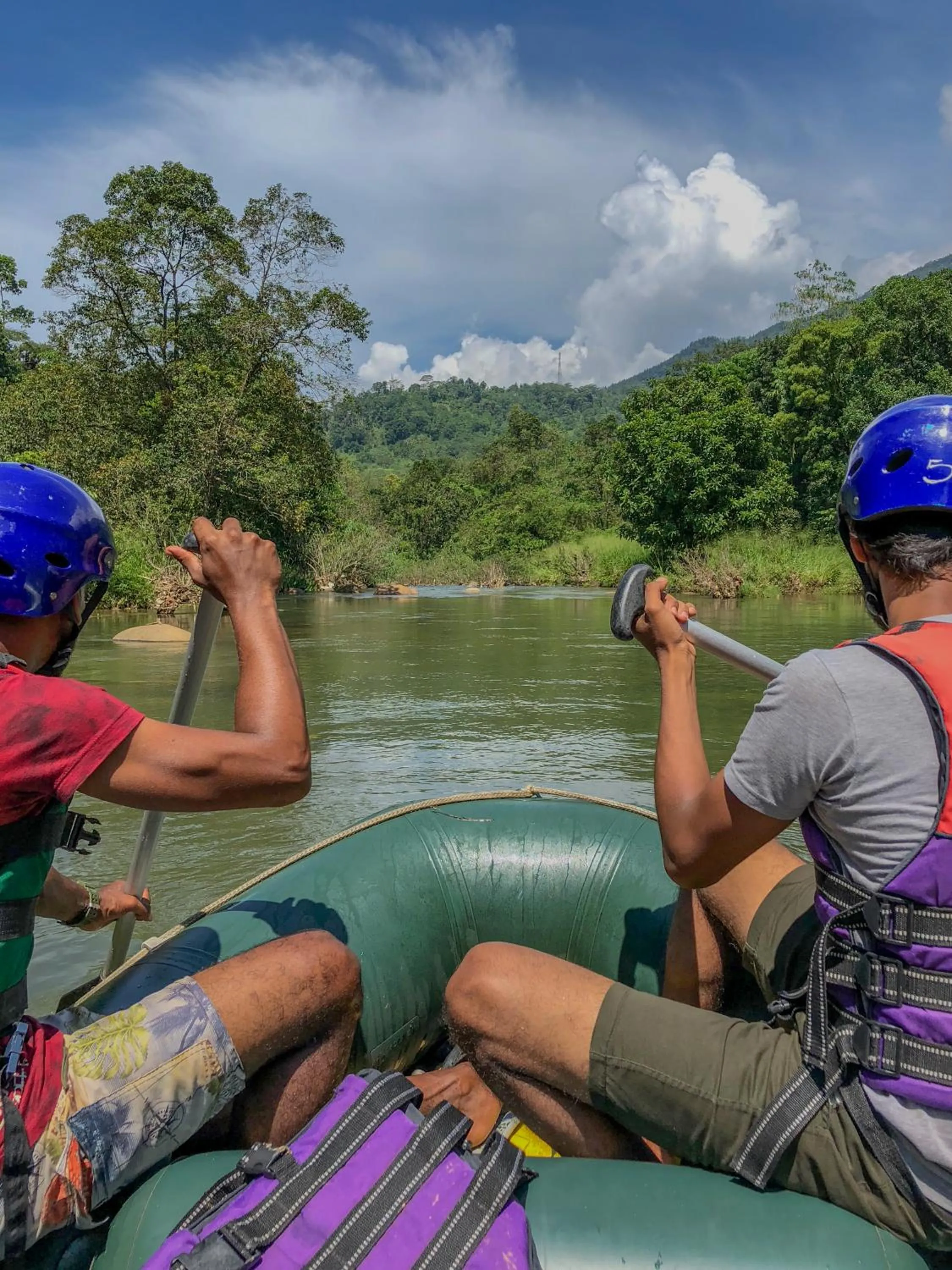 Activities in Tree Houses by Jungle River