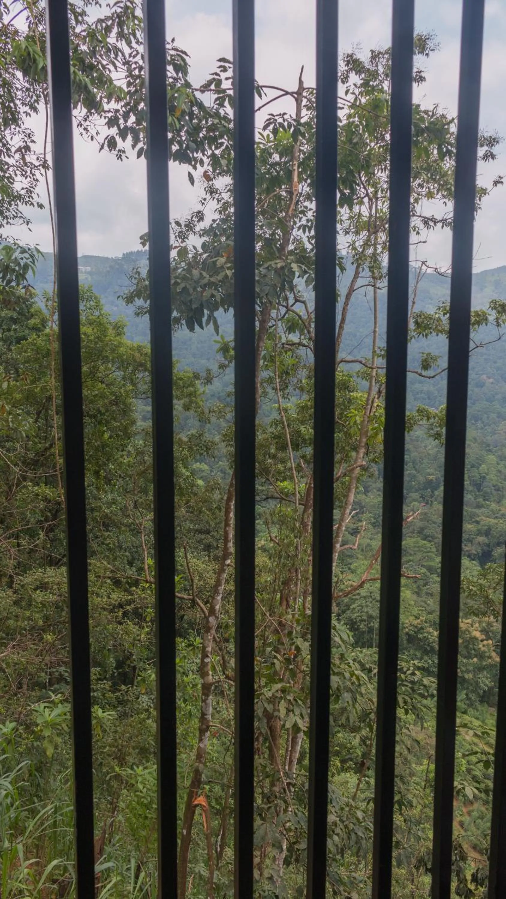 Garden view in Tree Houses by Jungle River
