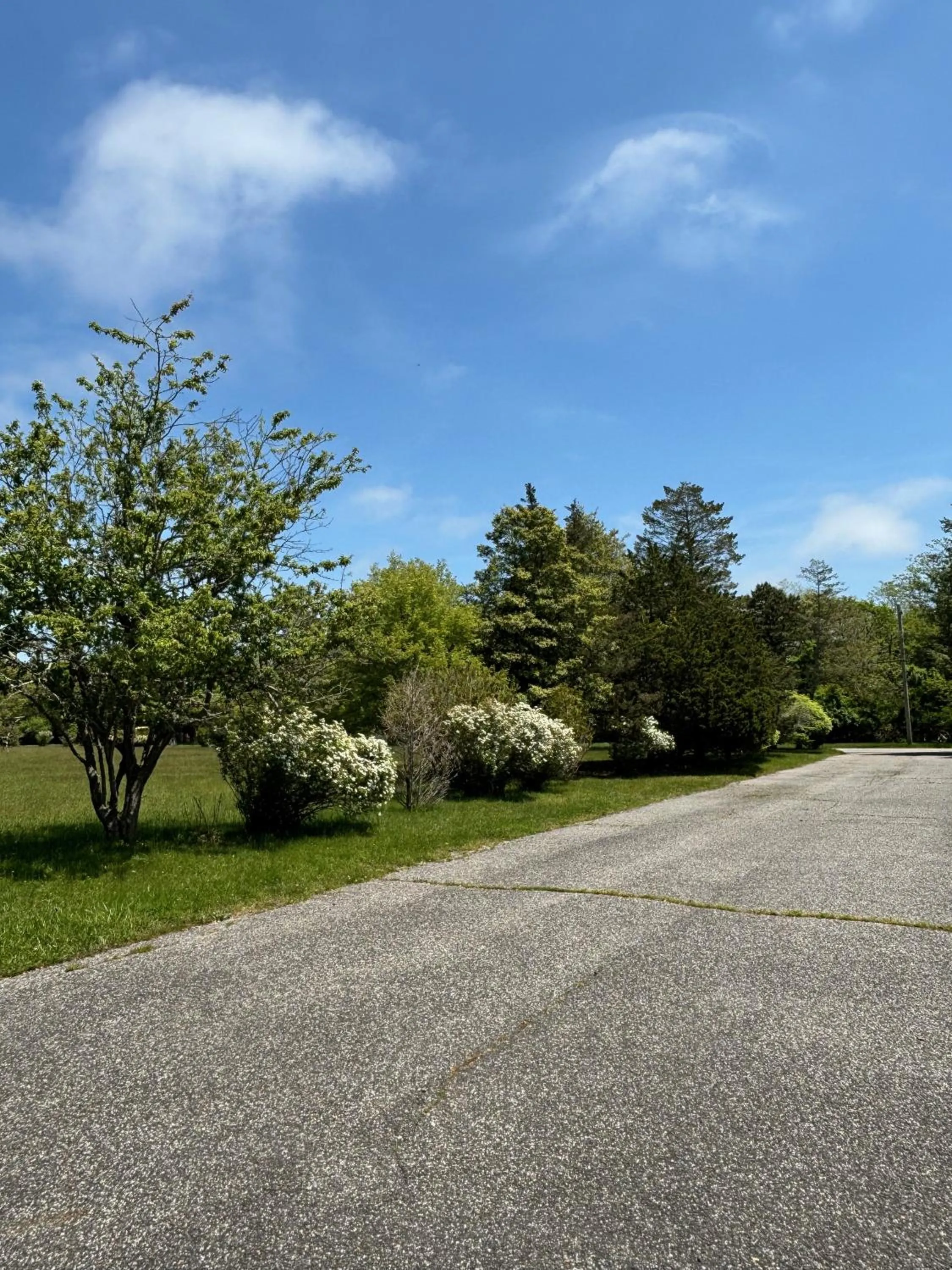 Natural landscape in Westhampton Seabreeze Motel