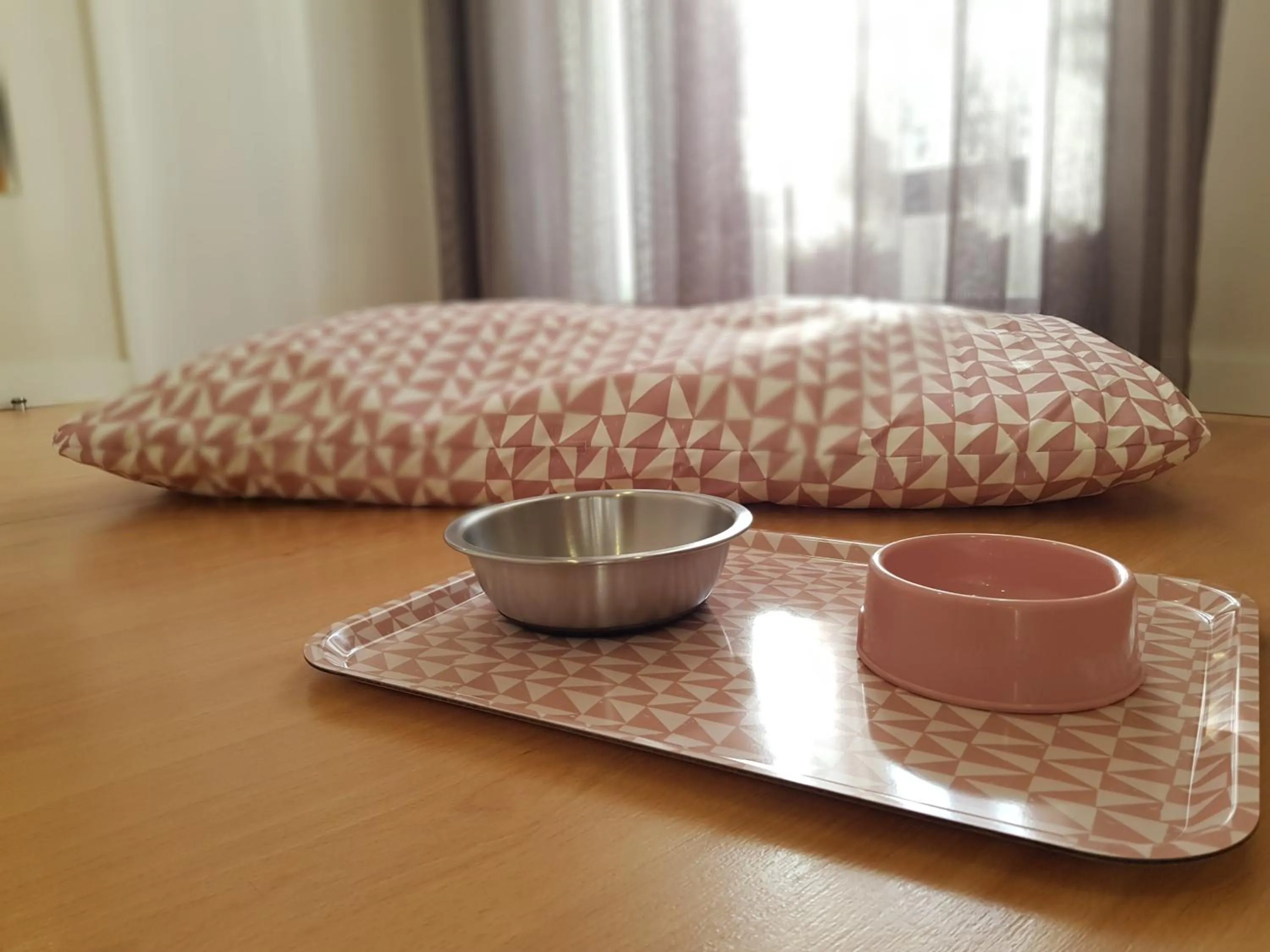 Animals in Boavista Guest House