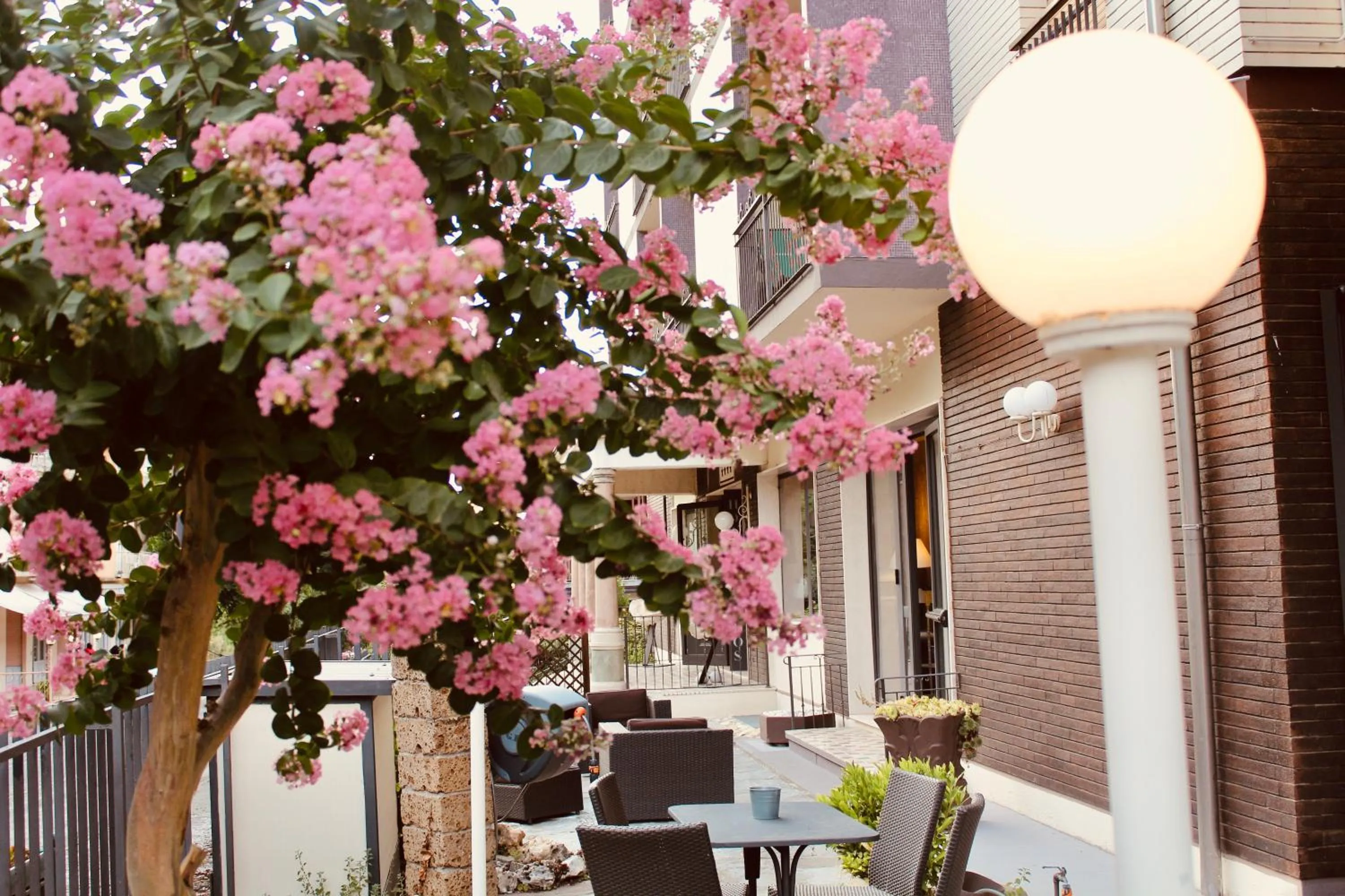 Patio in Art Hotel Pandos