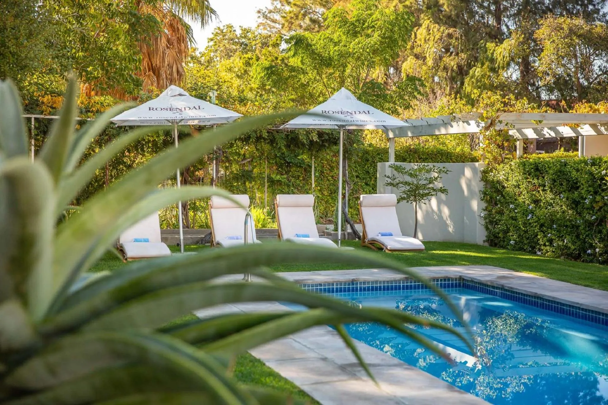 Garden in Monte Vista Boutique Hotel