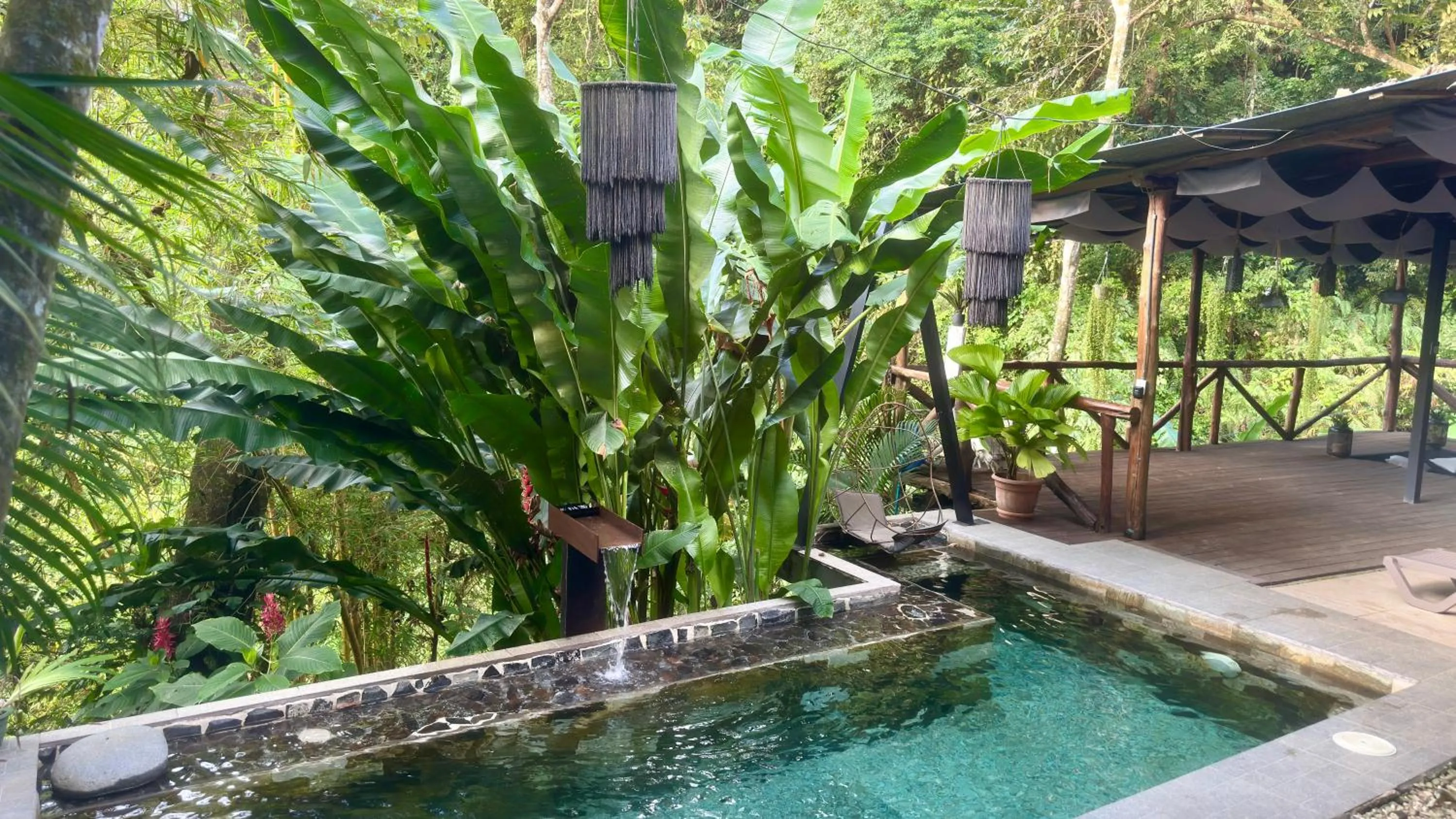 Pool view in Canaima Chill House