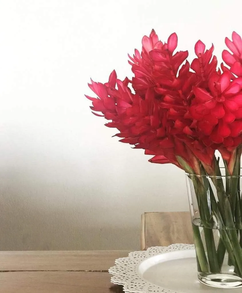 The White House Hotel