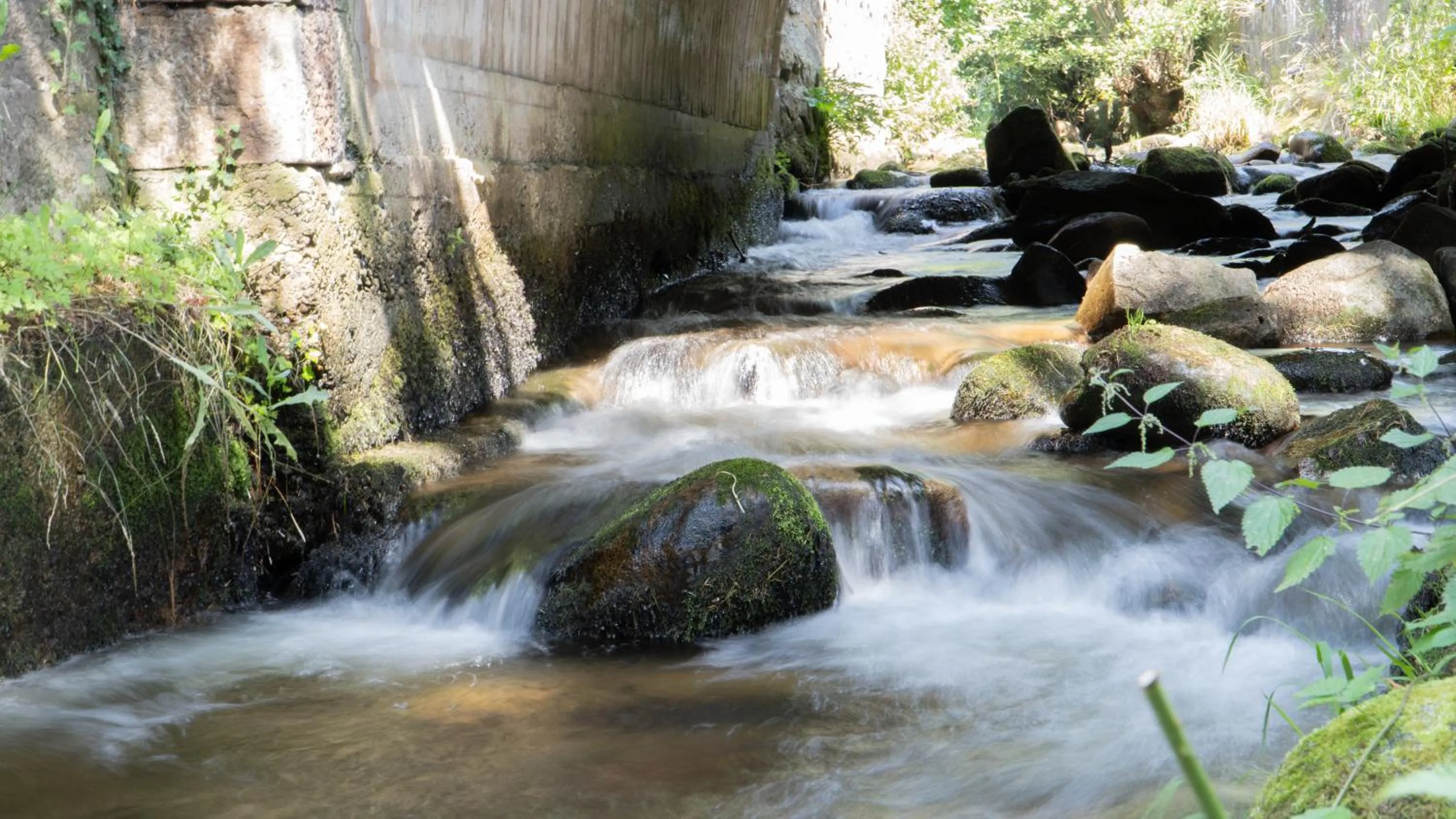 Natural landscape in Résidence SoAnSa du Gérardmer de la Sci Rsast - Col de la Schlucht