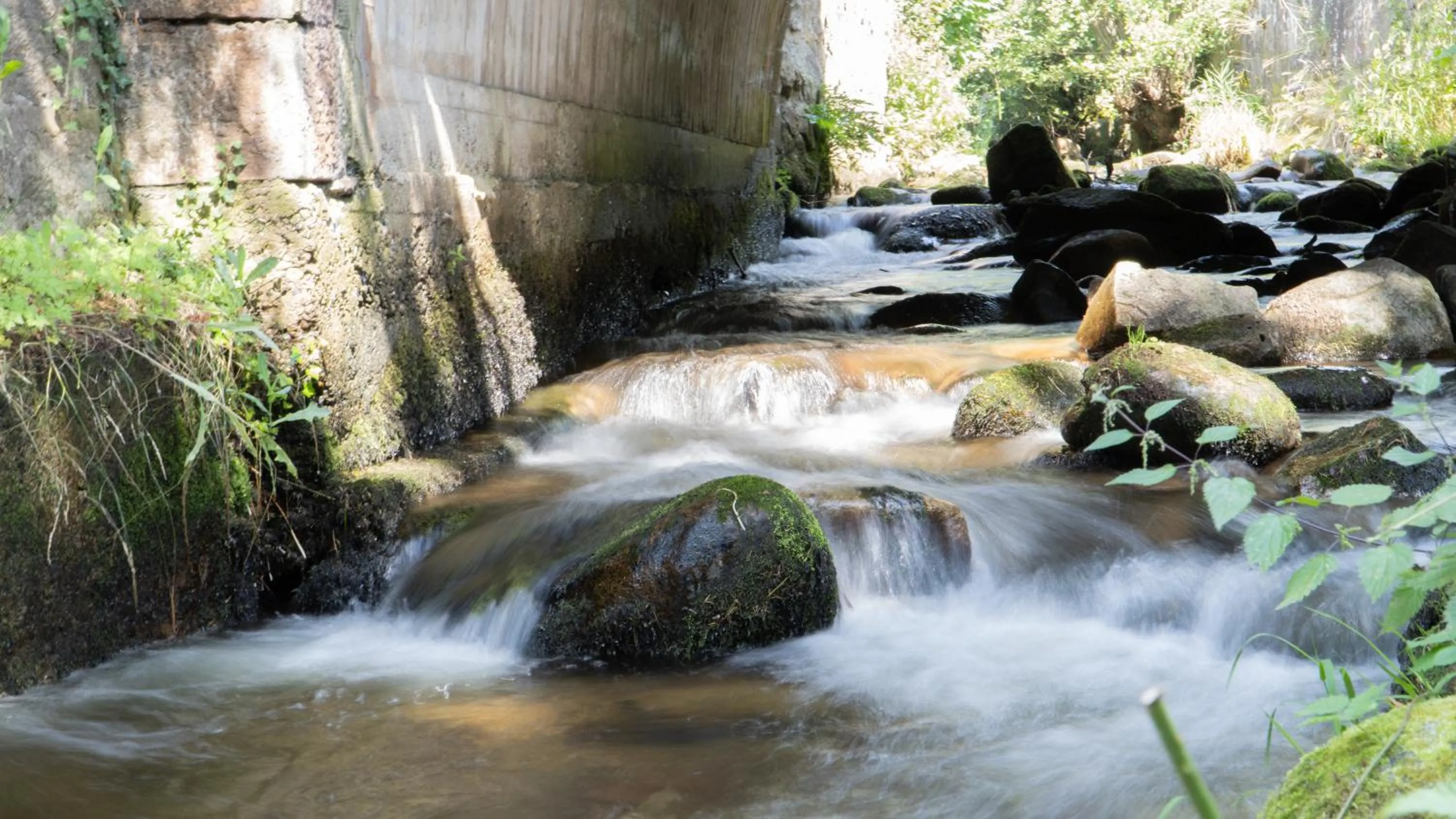 Natural landscape in Résidence SoAnSa du Gérardmer de la Sci Rsast - Col de la Schlucht