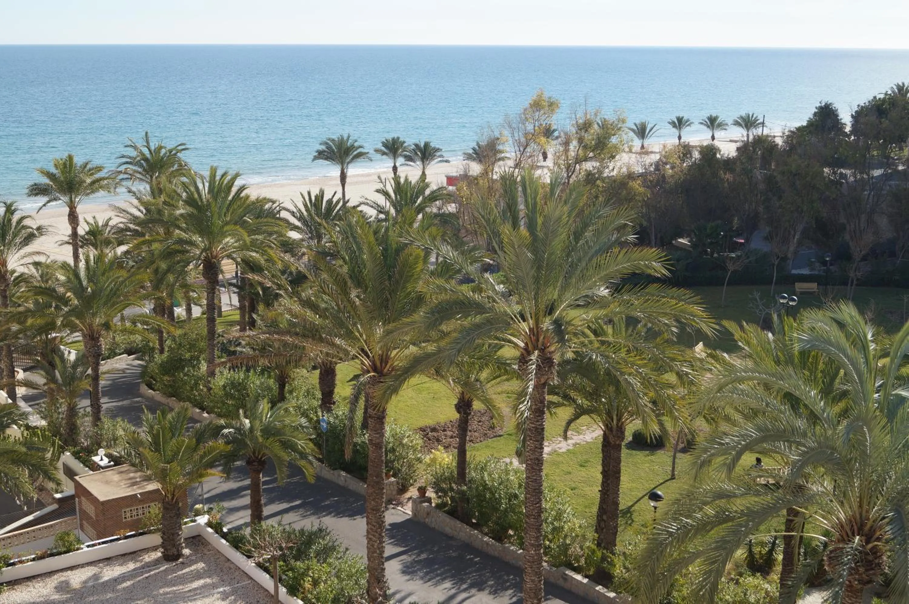 Garden view in barbara 20 playa muchavista alicante
