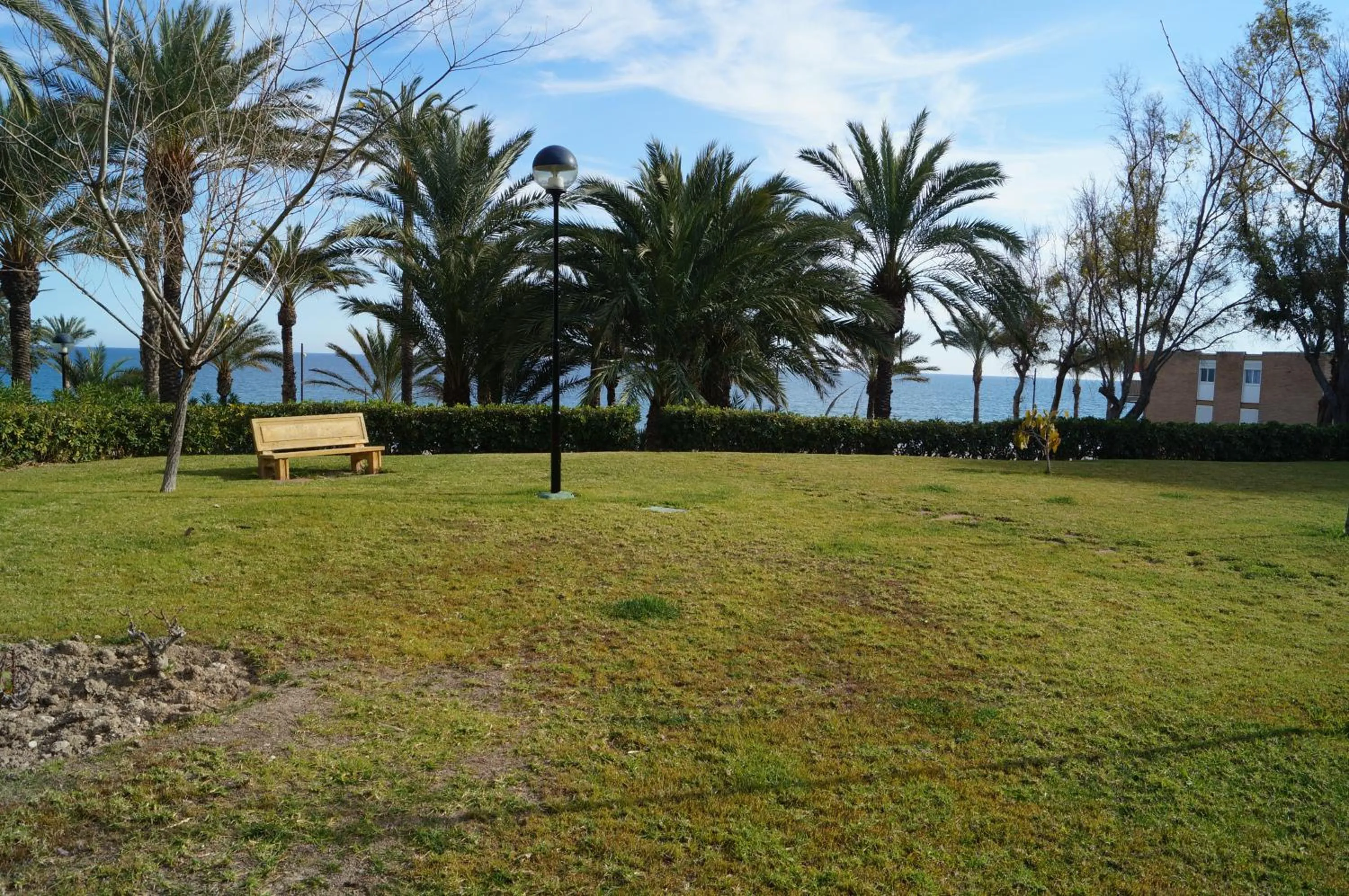 Garden in barbara 20 playa muchavista alicante