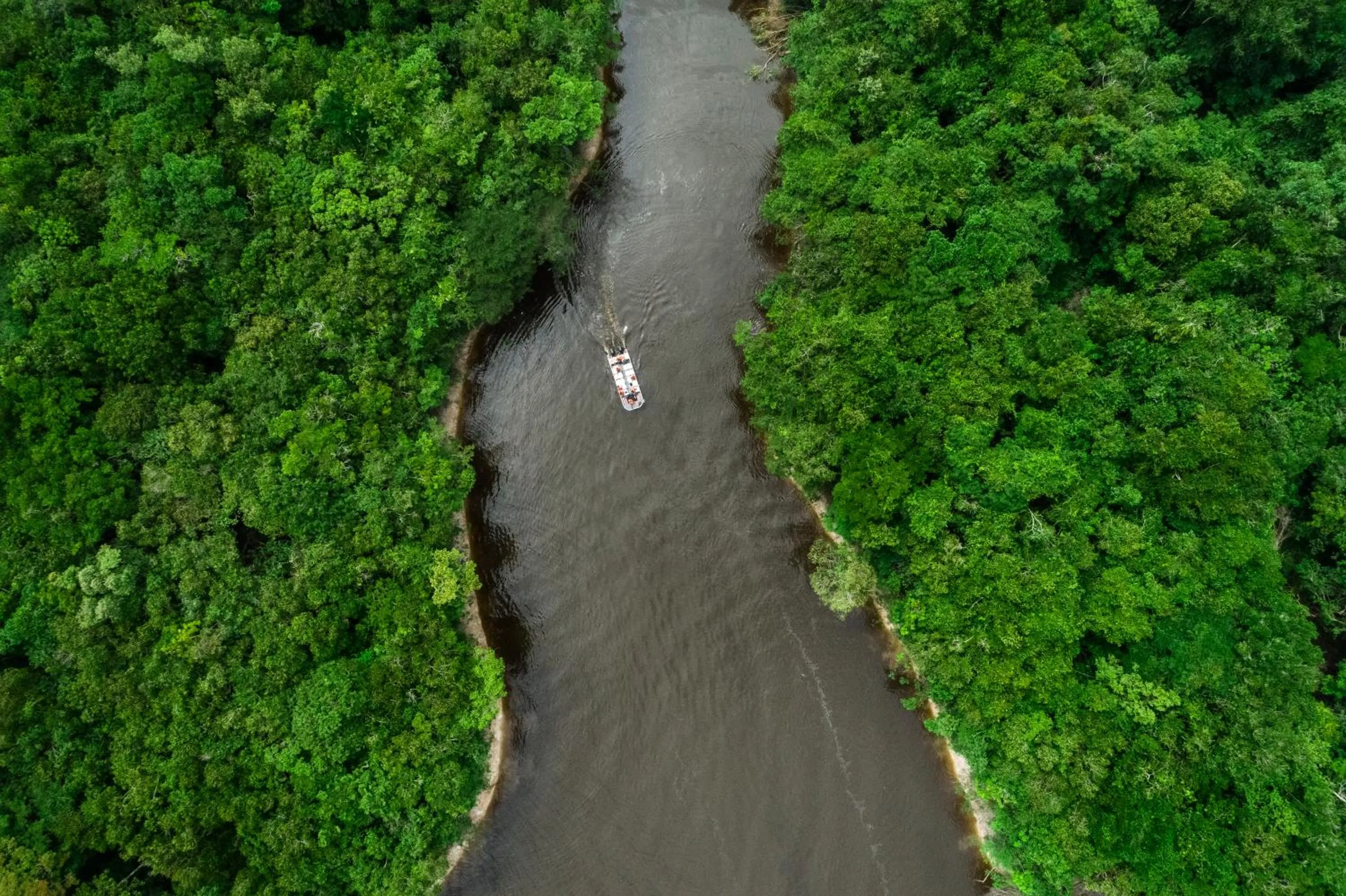 Bird's eye view in Grand Amazon Expedition - All Inclusive