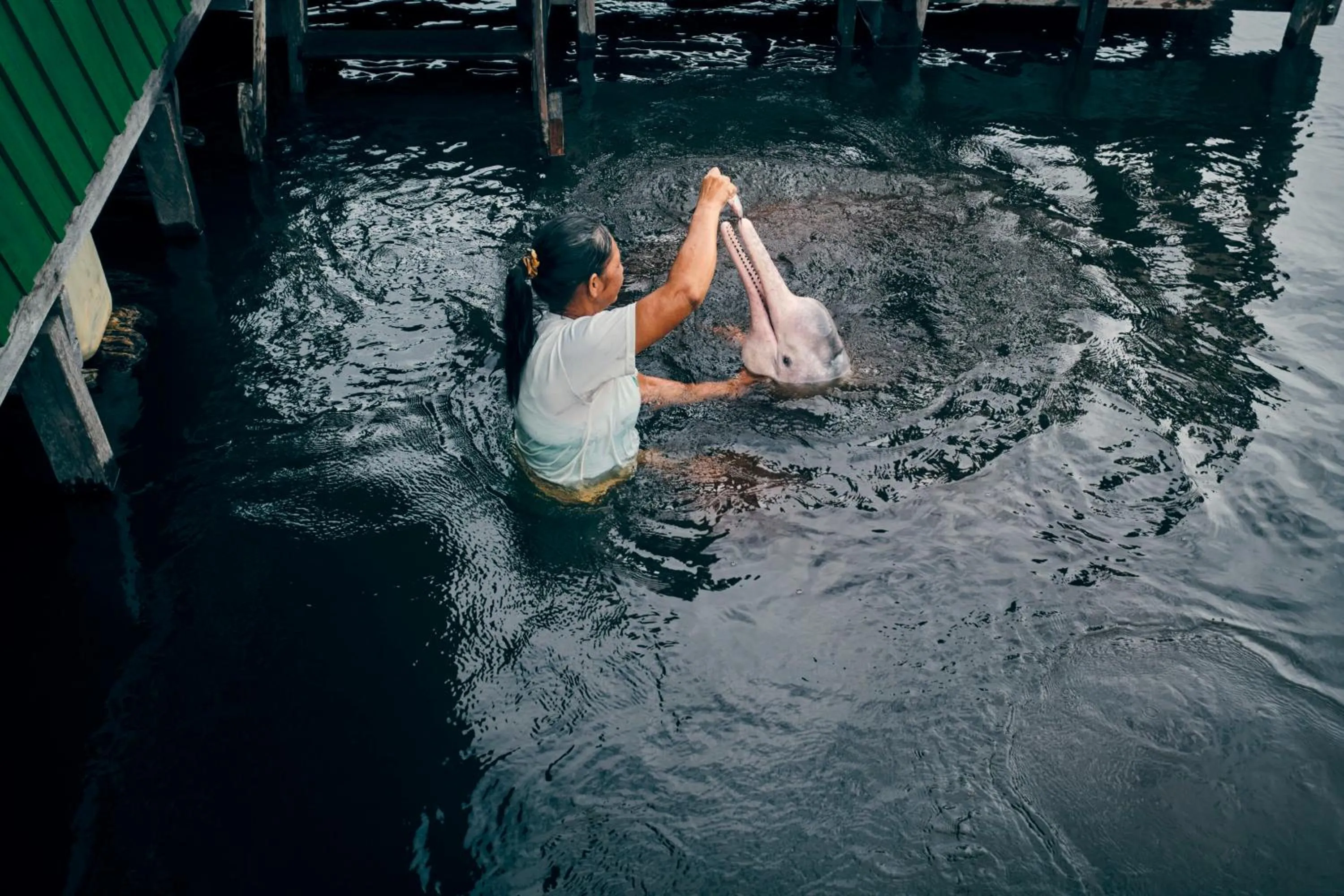 Activities in Grand Amazon Expedition - All Inclusive