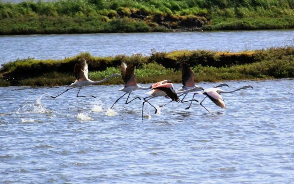 Natural landscape in Hotel Paraiso