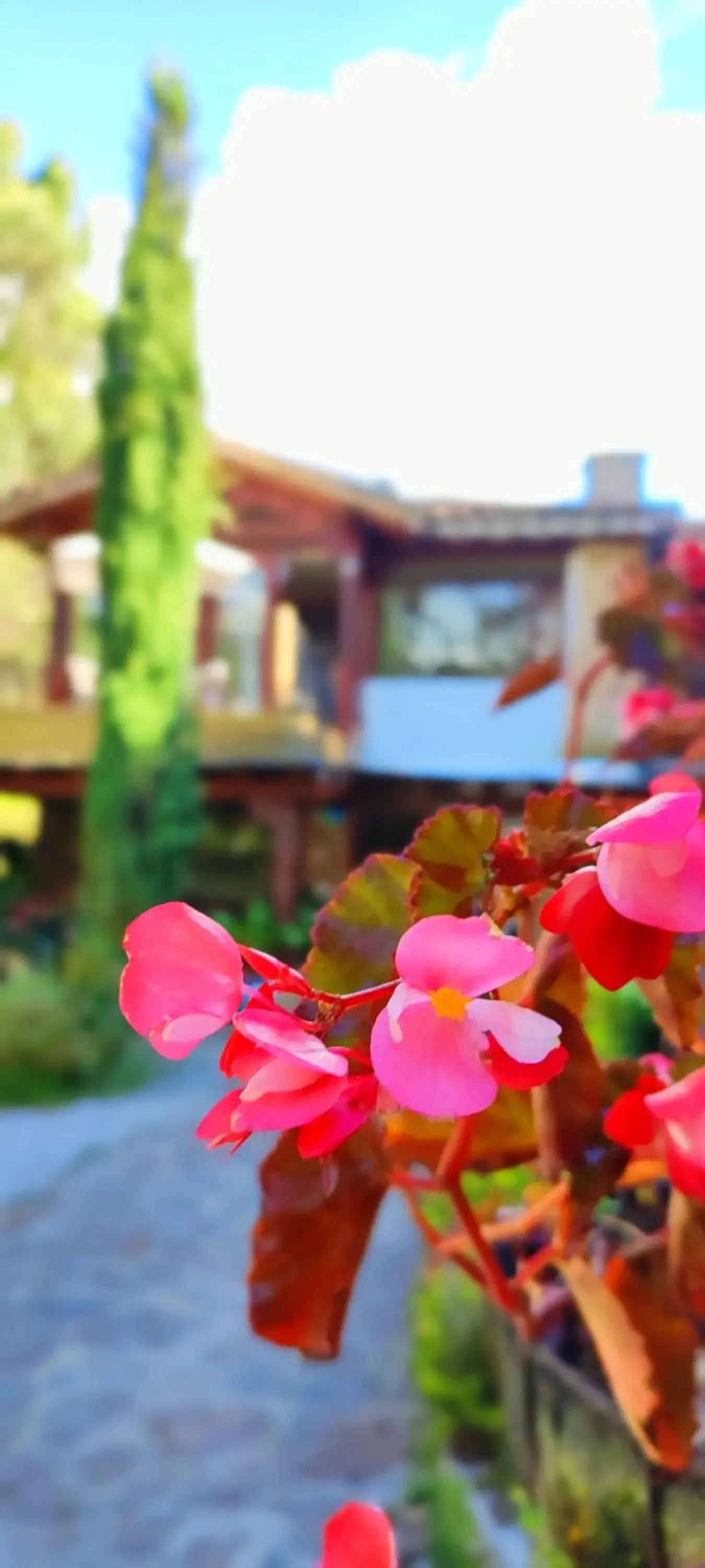 Property building in La Martina Campestre Property building in La Martina Campestre