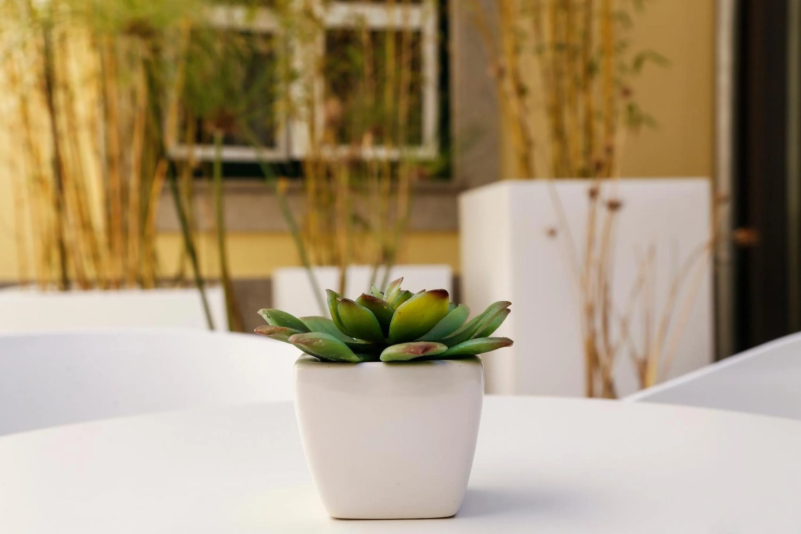 Day in Hotel das Salinas by Alboi Group