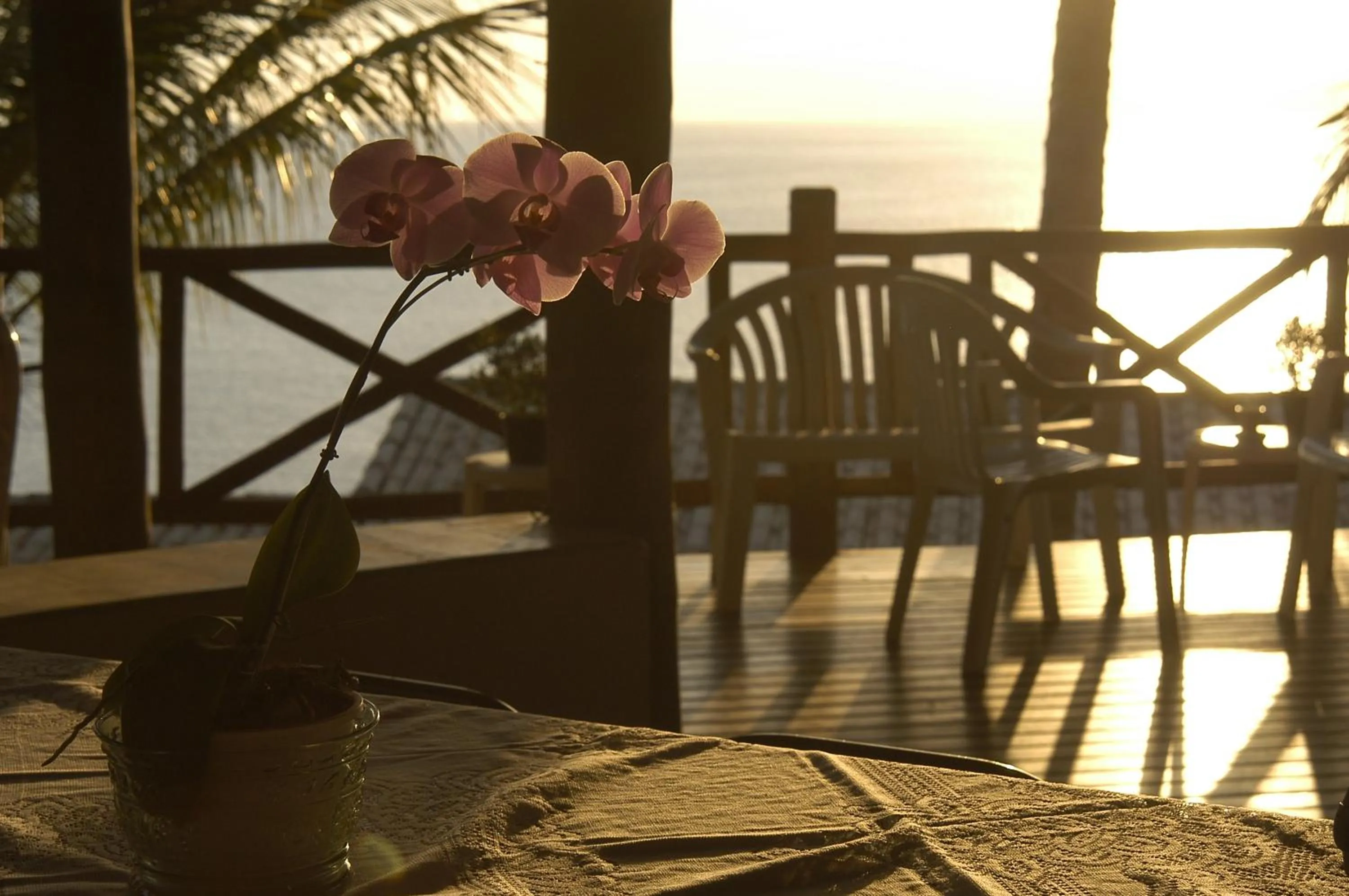 Restaurant/places to eat in Pousada Singuitta - Ilhabela
